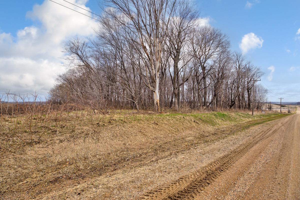 View of Land at TBD 340th Street, Montgomery MN 56069, Montgomery - Mike Wilen | Minnesota Team Real Estate