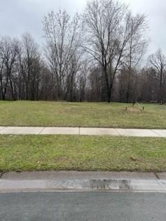 View of Land at 22640 Zion Parkway, Bethel MN 55005, Bethel - Mike Wilen | Minnesota Team Real Estate