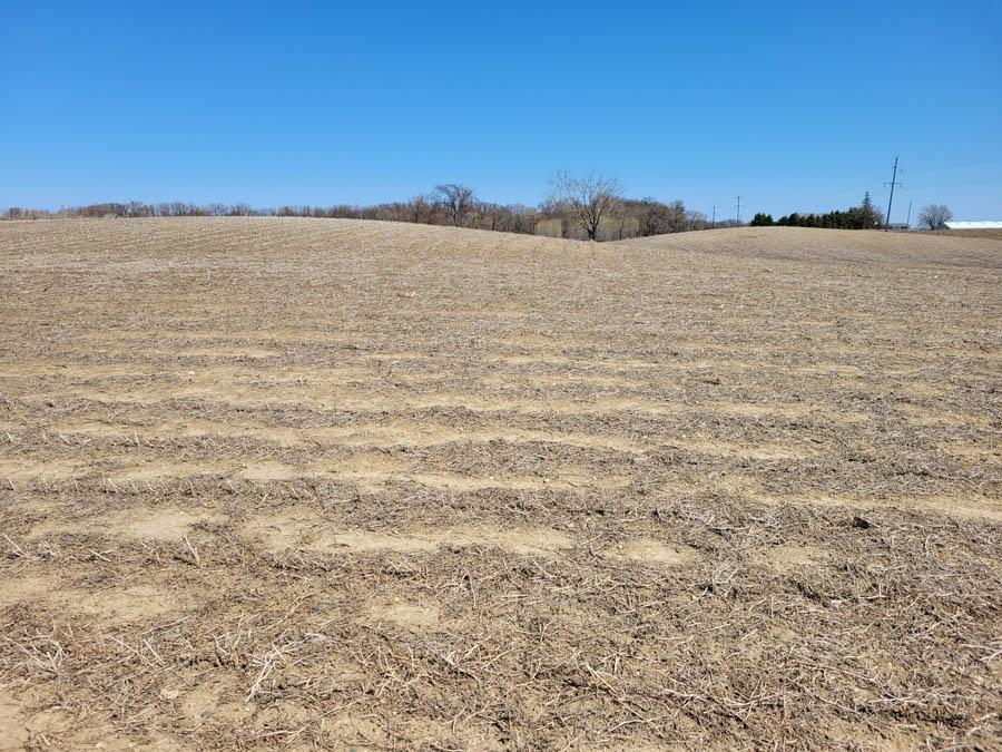 View of Land at XXX Keats Avenue, Howard Lake MN 55349, Howard Lake - Mike Wilen | Minnesota Team Real Estate