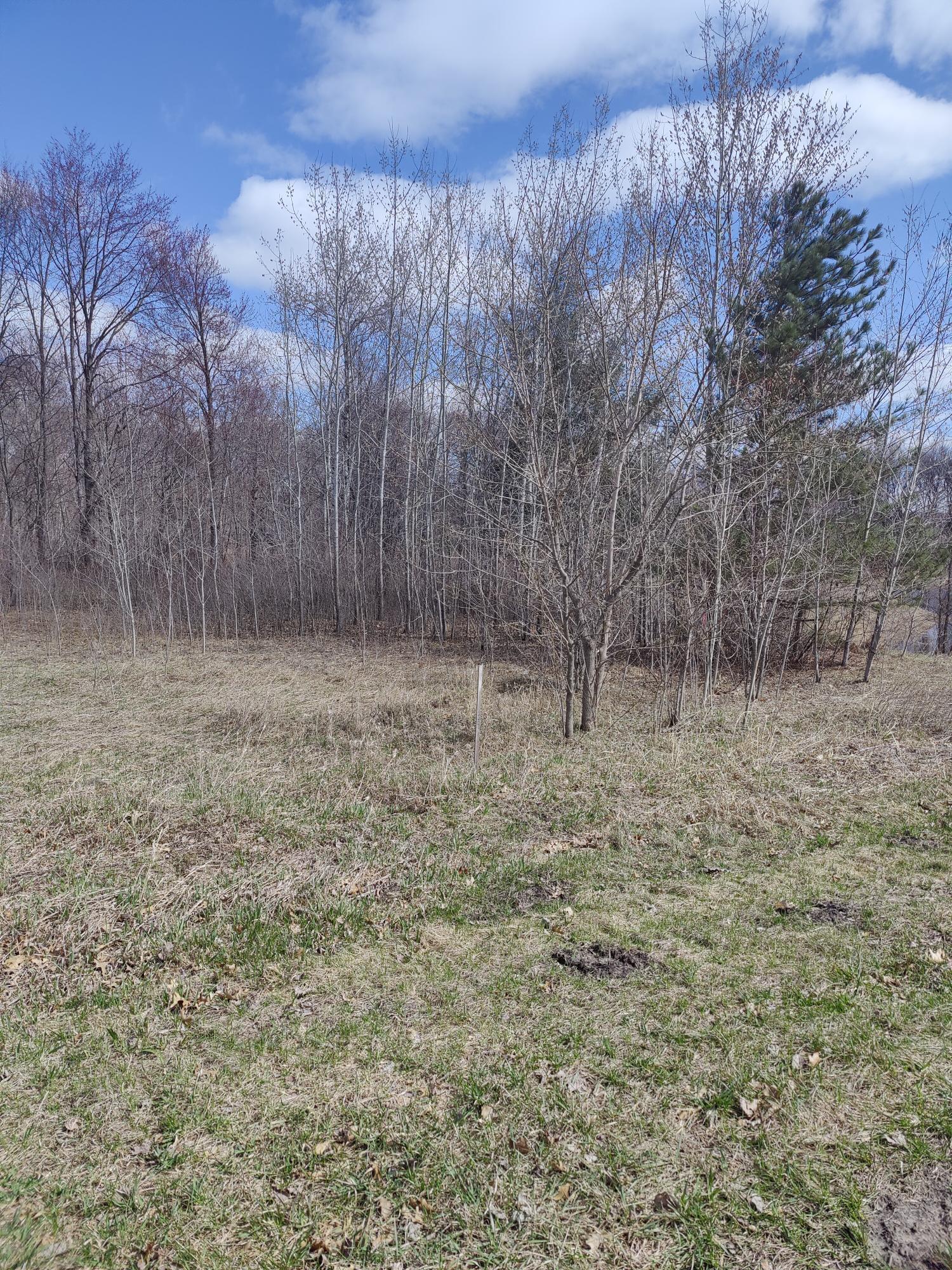 View of Land at 16127 Austin Street, Ham Lake MN 55304, Ham Lake - Mike Wilen | Minnesota Team Real Estate