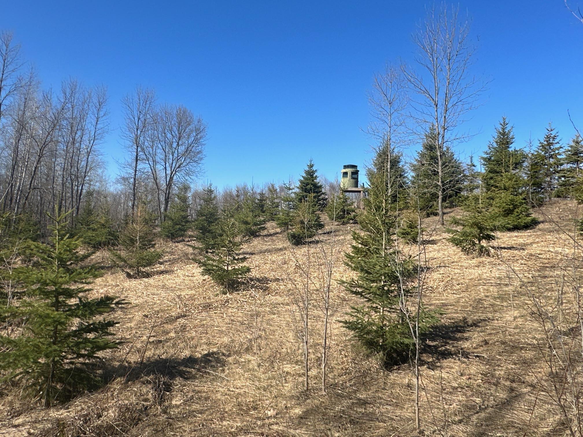 View of Land at X Tamarac Road, Onamia MN 56359, Onamia - Mike Wilen | Minnesota Team Real Estate