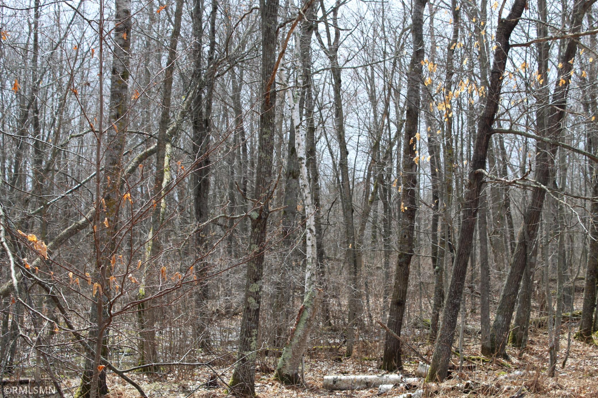 View of Land at 36xx 440 Street, Isle MN 56342, Isle - Mike Wilen | Minnesota Team Real Estate