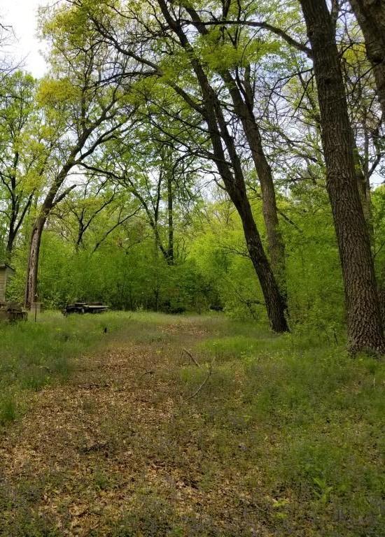 View of Land at 10940 42nd Street, Clear Lake MN 55319, Clear Lake - Mike Wilen | Minnesota Team Real Estate