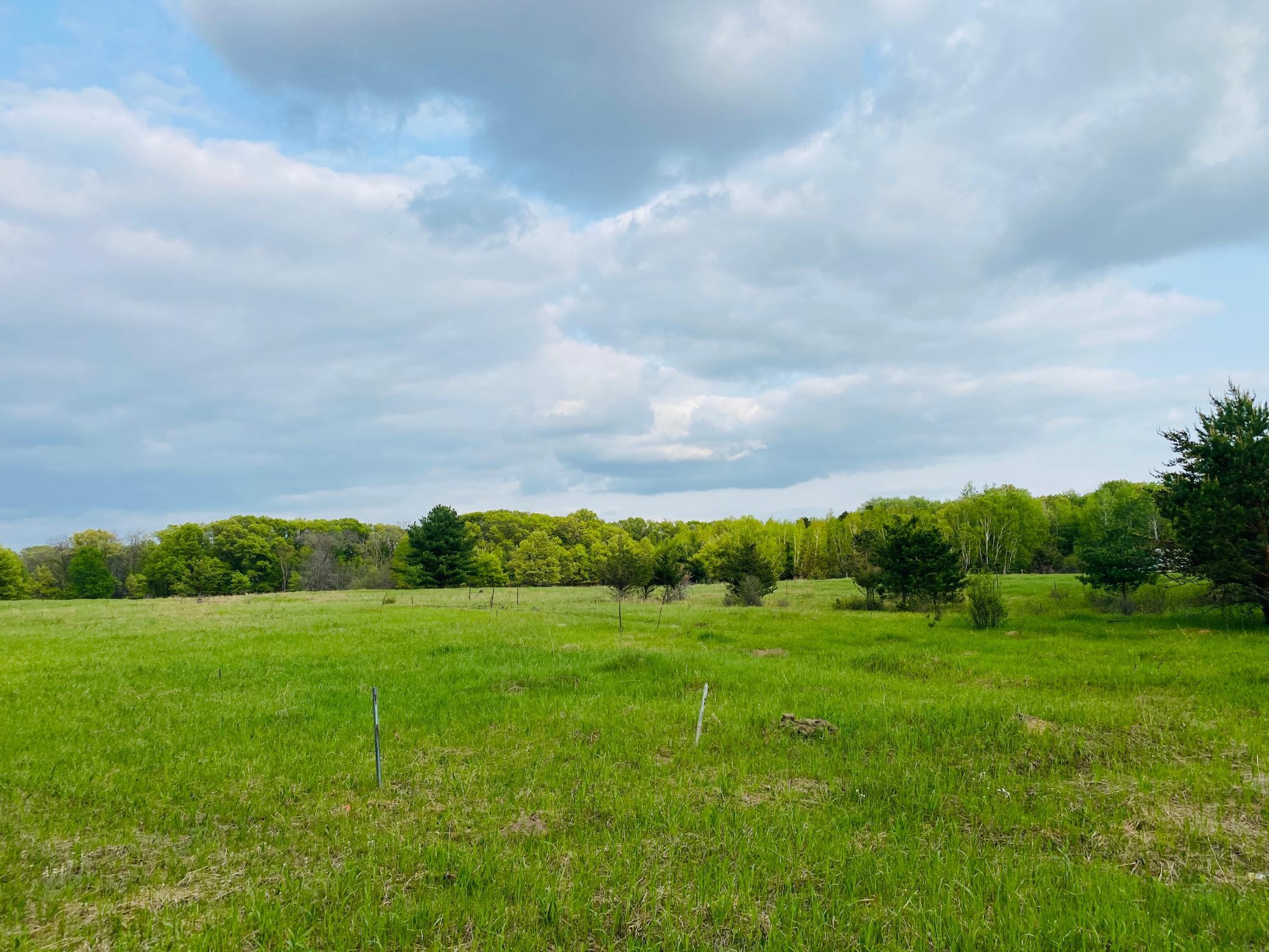 View of Land at XXX Sunrise Road, Stacy MN 55079, Stacy - Mike Wilen | Minnesota Team Real Estate