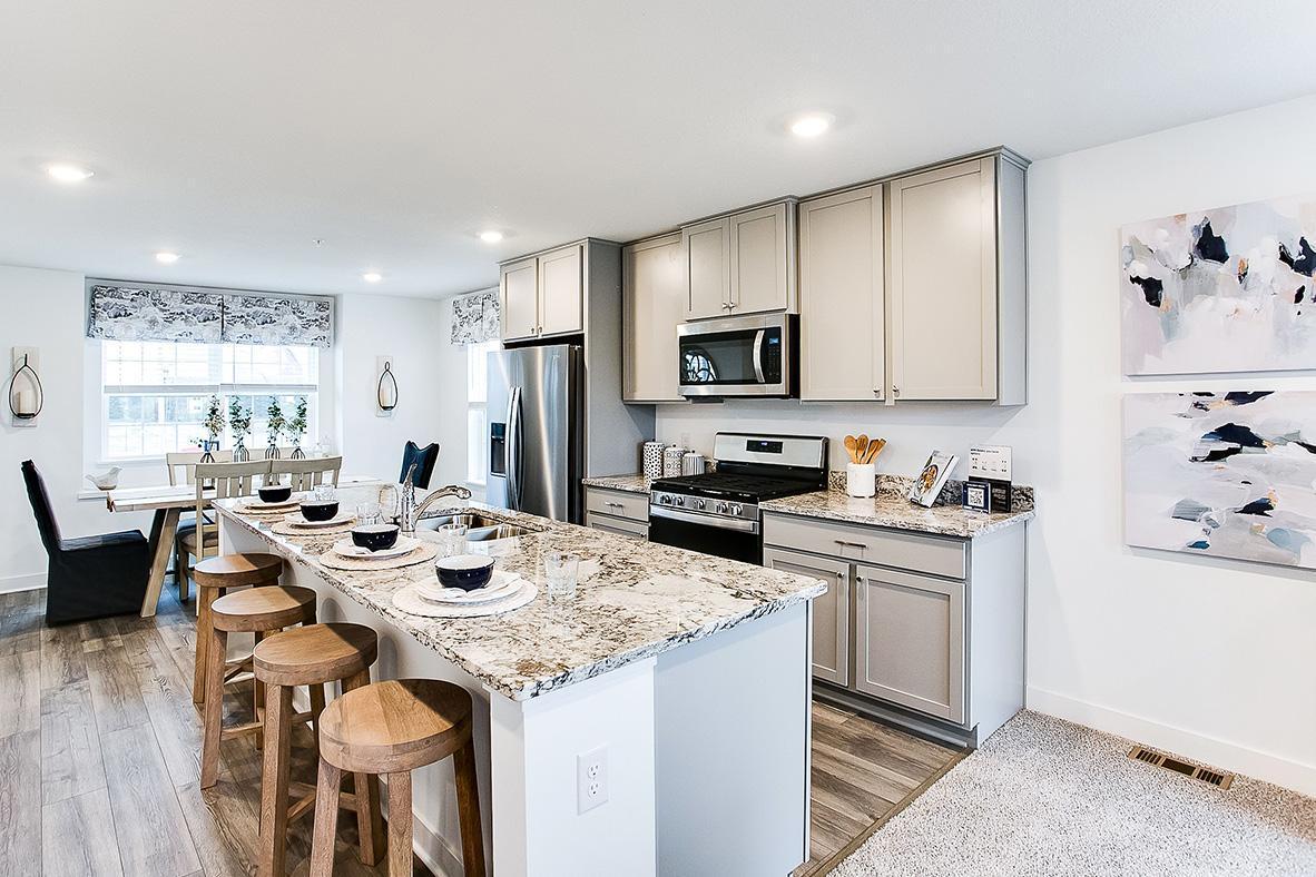 View of Residential at 6603 Hinterland Trail, Cottage Grove MN 55016, Cottage Grove - Mike Wilen | Minnesota Team Real Estate