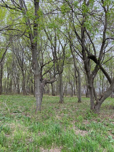 View of Land at 0000 Tiger Street, Princeton MN 55371, Princeton - Mike Wilen | Minnesota Team Real Estate