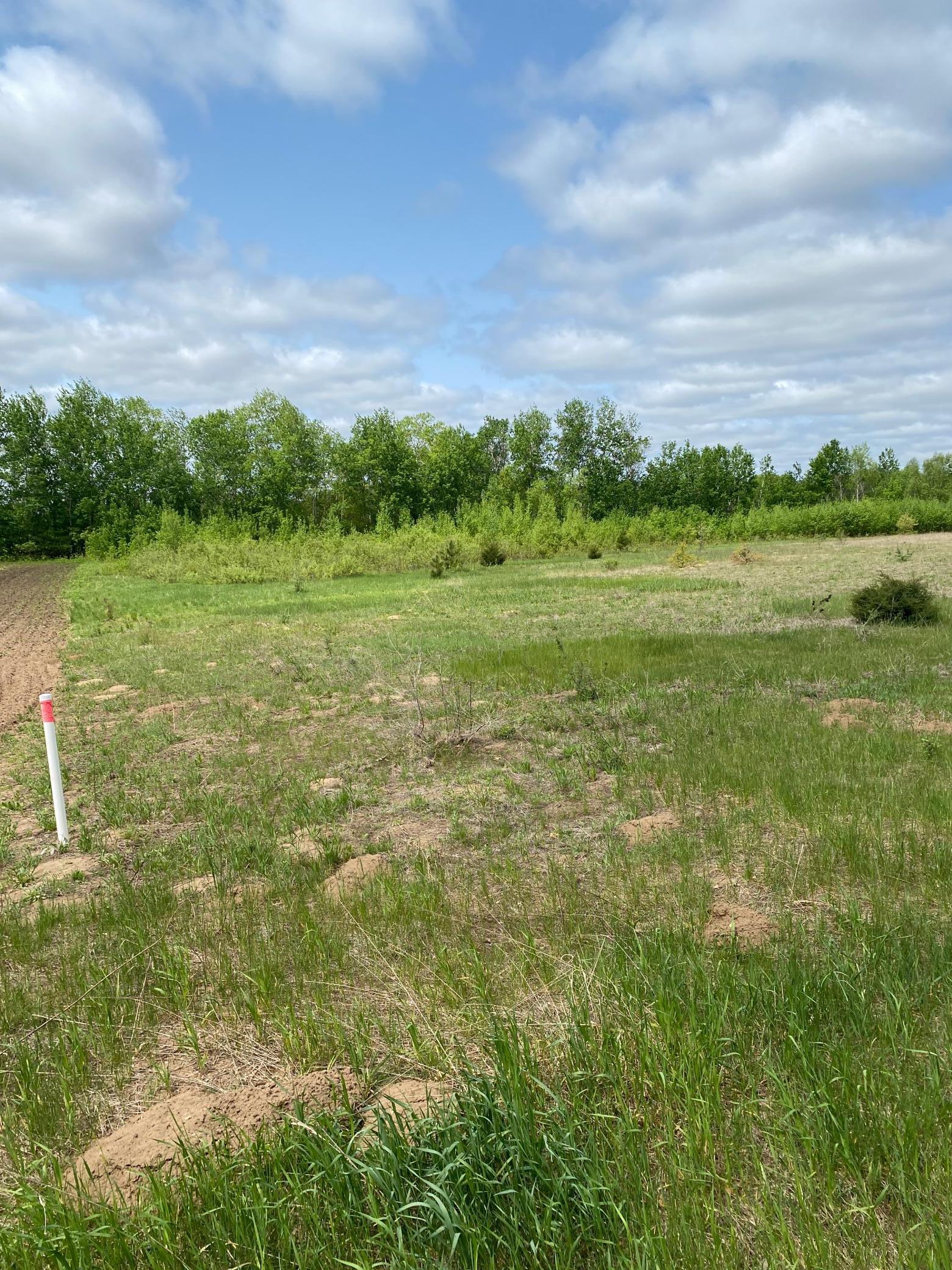 View of Land at 71XX 269th Avenue, Stacy MN 55079, Stacy - Mike Wilen | Minnesota Team Real Estate