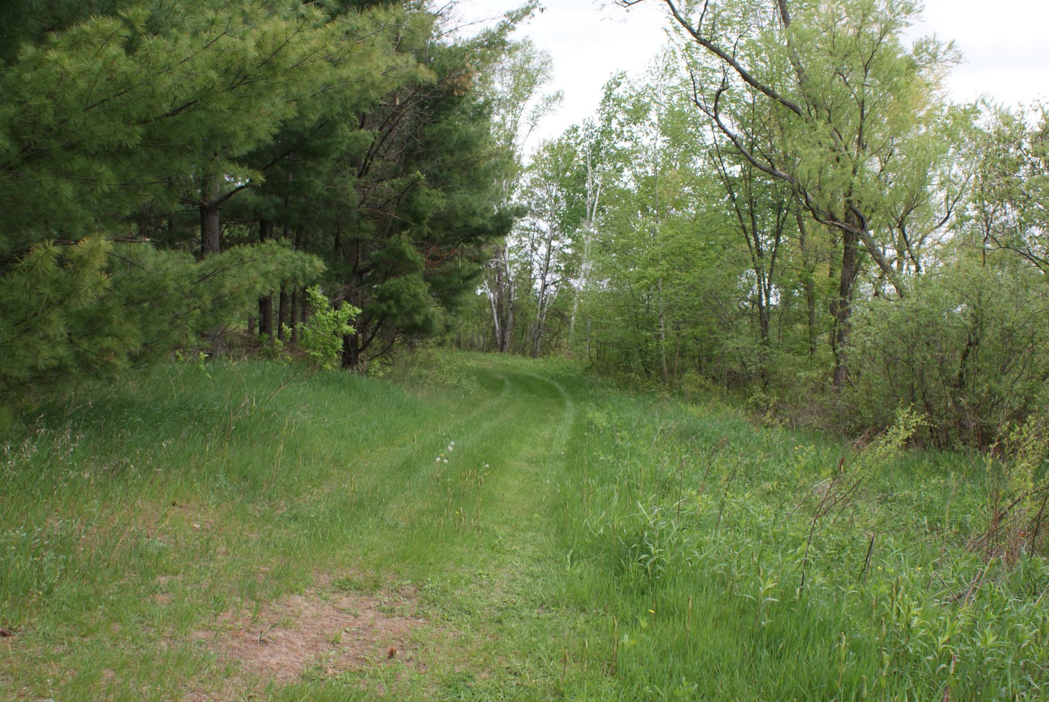 View of Land at 60xx Highway 95, Princeton MN 55371, Princeton - Mike Wilen | Minnesota Team Real Estate