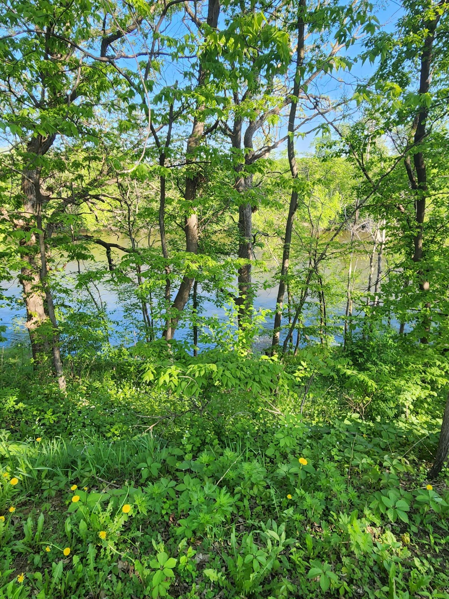 View of Land at xxxxx Riverview Road, Hanover MN 55341, Hanover - Mike Wilen | Minnesota Team Real Estate