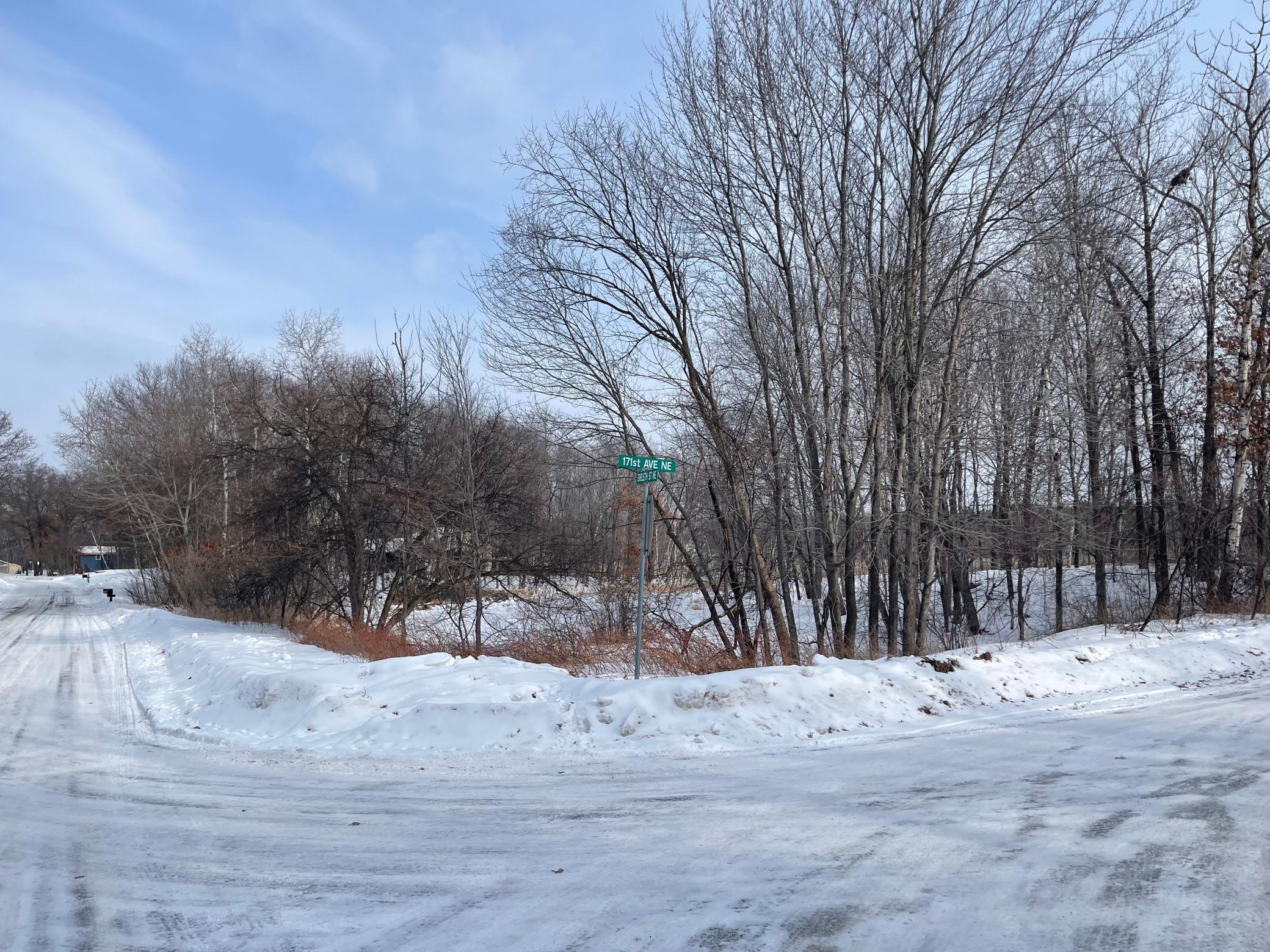 View of Land at 171st Eveleth St. NE, Ham Lake MN 55304, Ham Lake - Mike Wilen | Minnesota Team Real Estate
