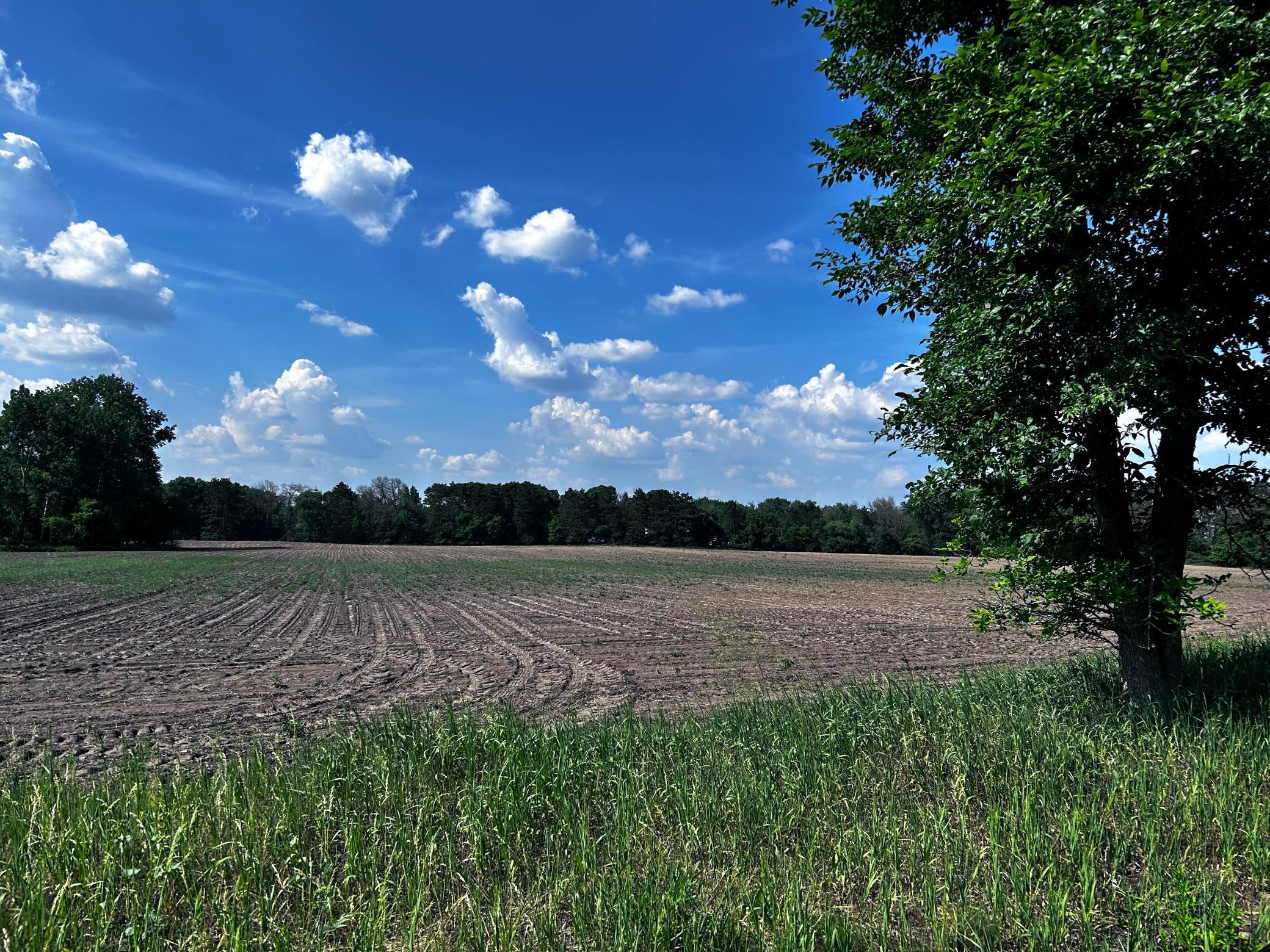 View of Land at 2506 Swedish Drive, Ham Lake MN 55304, Ham Lake - Mike Wilen | Minnesota Team Real Estate