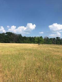 View of Land at XXXX 143rd Street NW, Zimmerman MN 55398, Zimmerman - Mike Wilen | Minnesota Team Real Estate