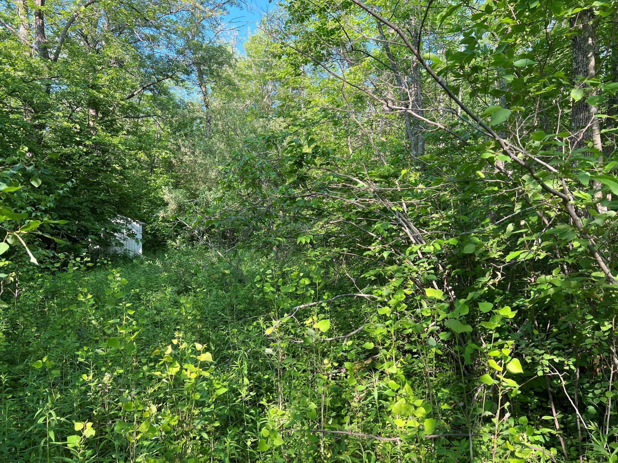 View of Land at TBD 34th Avenue, Isle MN 56342, Isle - Mike Wilen | Minnesota Team Real Estate