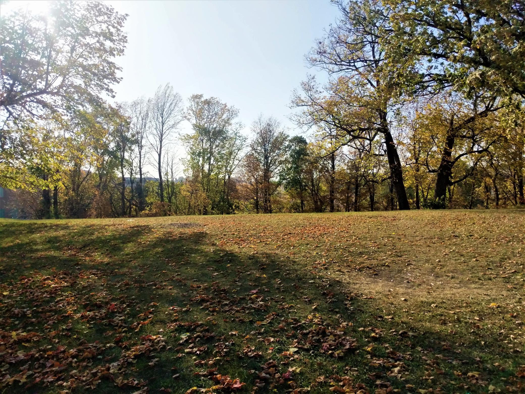 View of Land at 1164 Pond Curve, Waconia MN 55387, Waconia - Mike Wilen | Minnesota Team Real Estate
