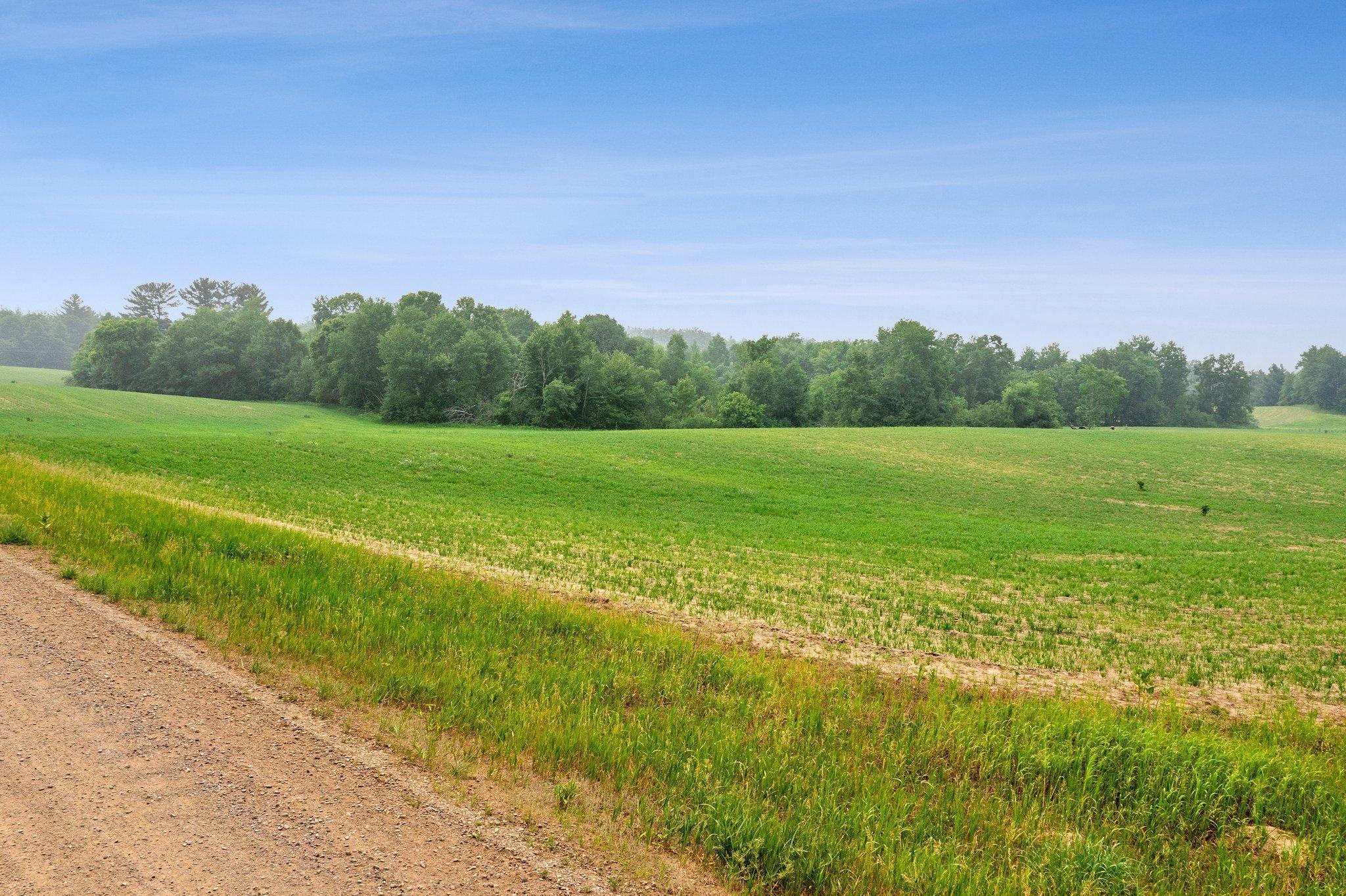 View of Land at Lot 2 375th Avenue, Stanchfield MN 55080, Stanchfield - Mike Wilen | Minnesota Team Real Estate