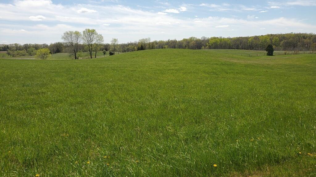 View of Land at 182xx Potassium Street, Nowthen MN 55303, Nowthen - Mike Wilen | Minnesota Team Real Estate