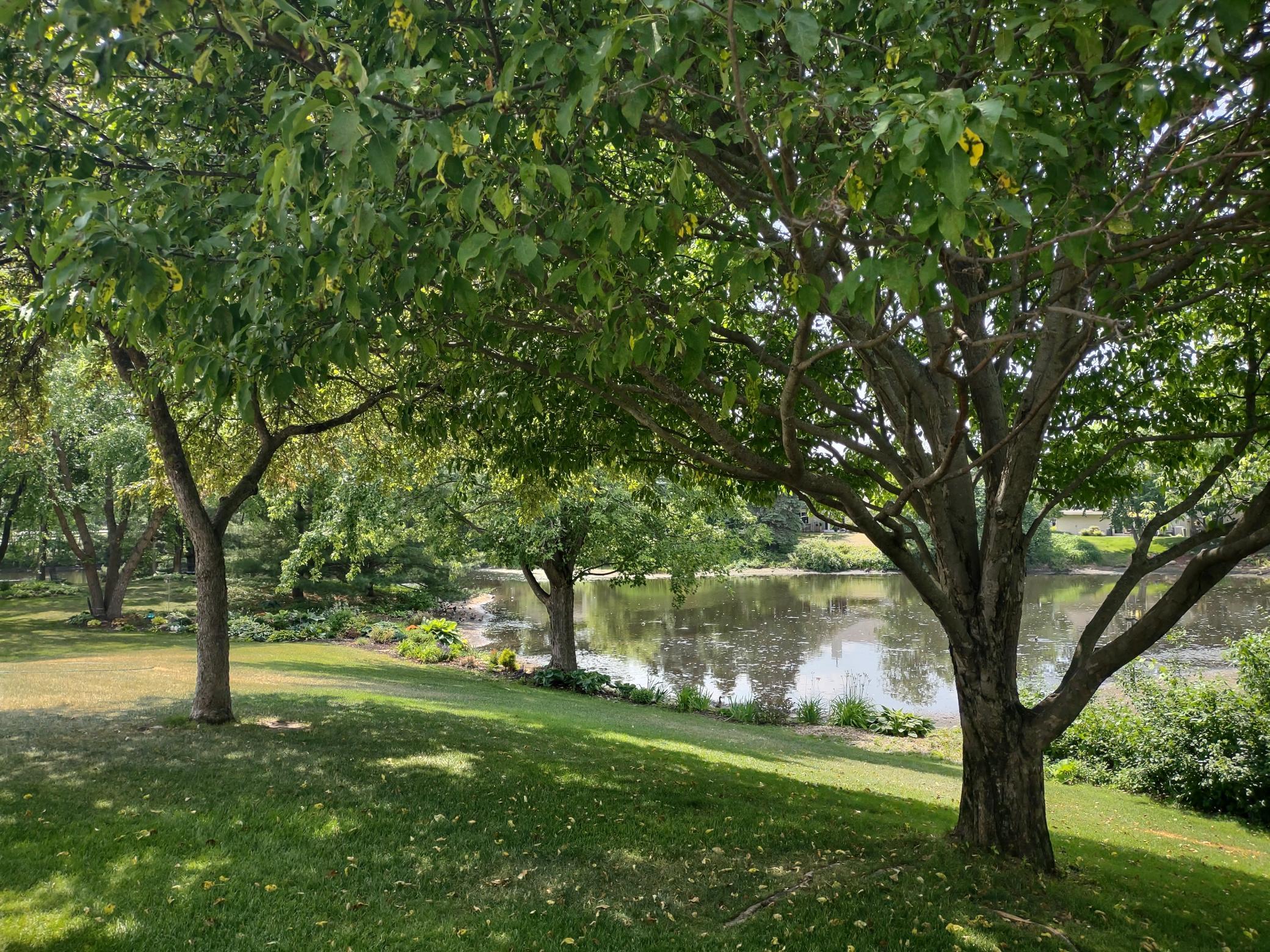 View of Residential at 4155 Beaver Dam Road, Eagan MN 55122, Eagan - Mike Wilen | Minnesota Team Real Estate