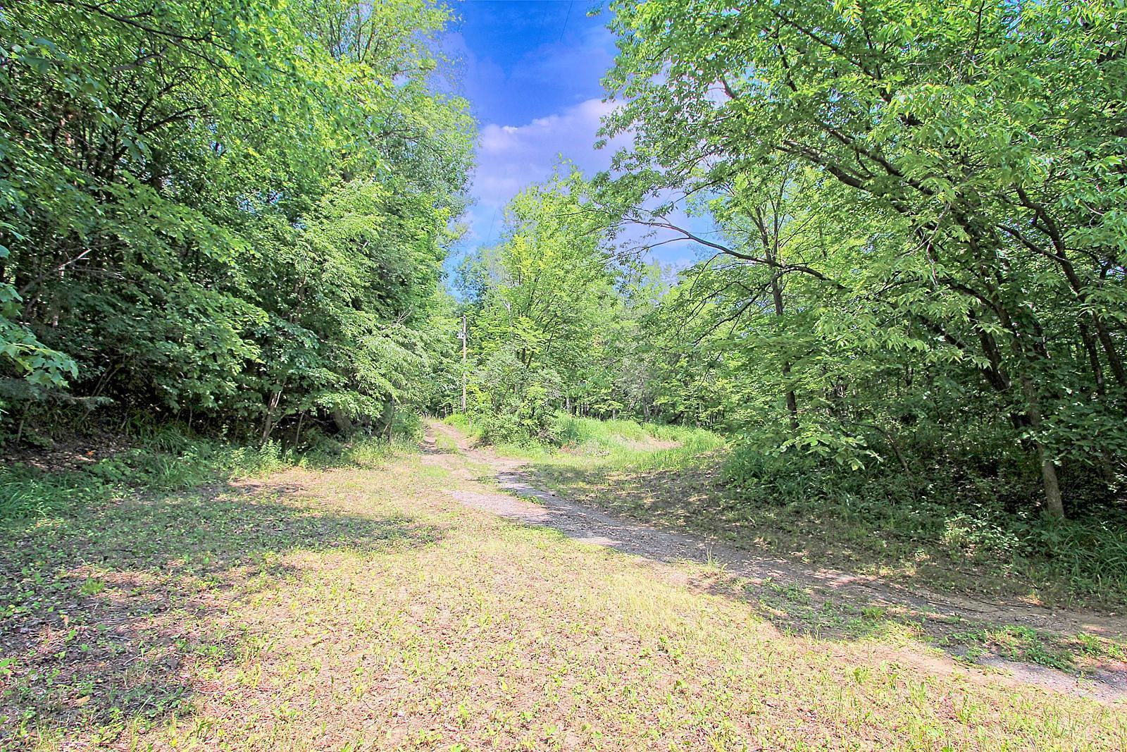 View of Land at 2371 Jansen Ave SE, Rockford MN 55313, Rockford - Mike Wilen | Minnesota Team Real Estate