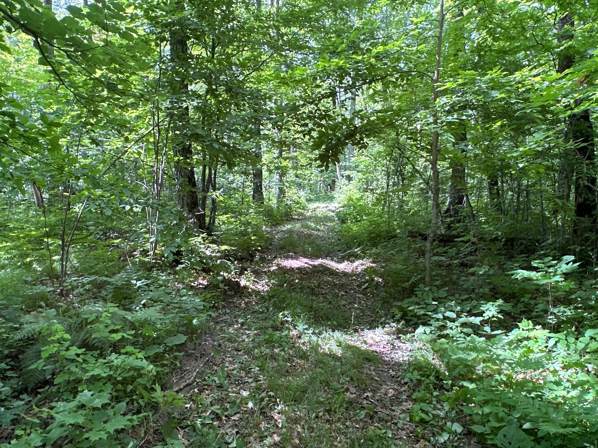View of Land at XX Merlin Road, Hillman MN 56338, Hillman - Mike Wilen | Minnesota Team Real Estate