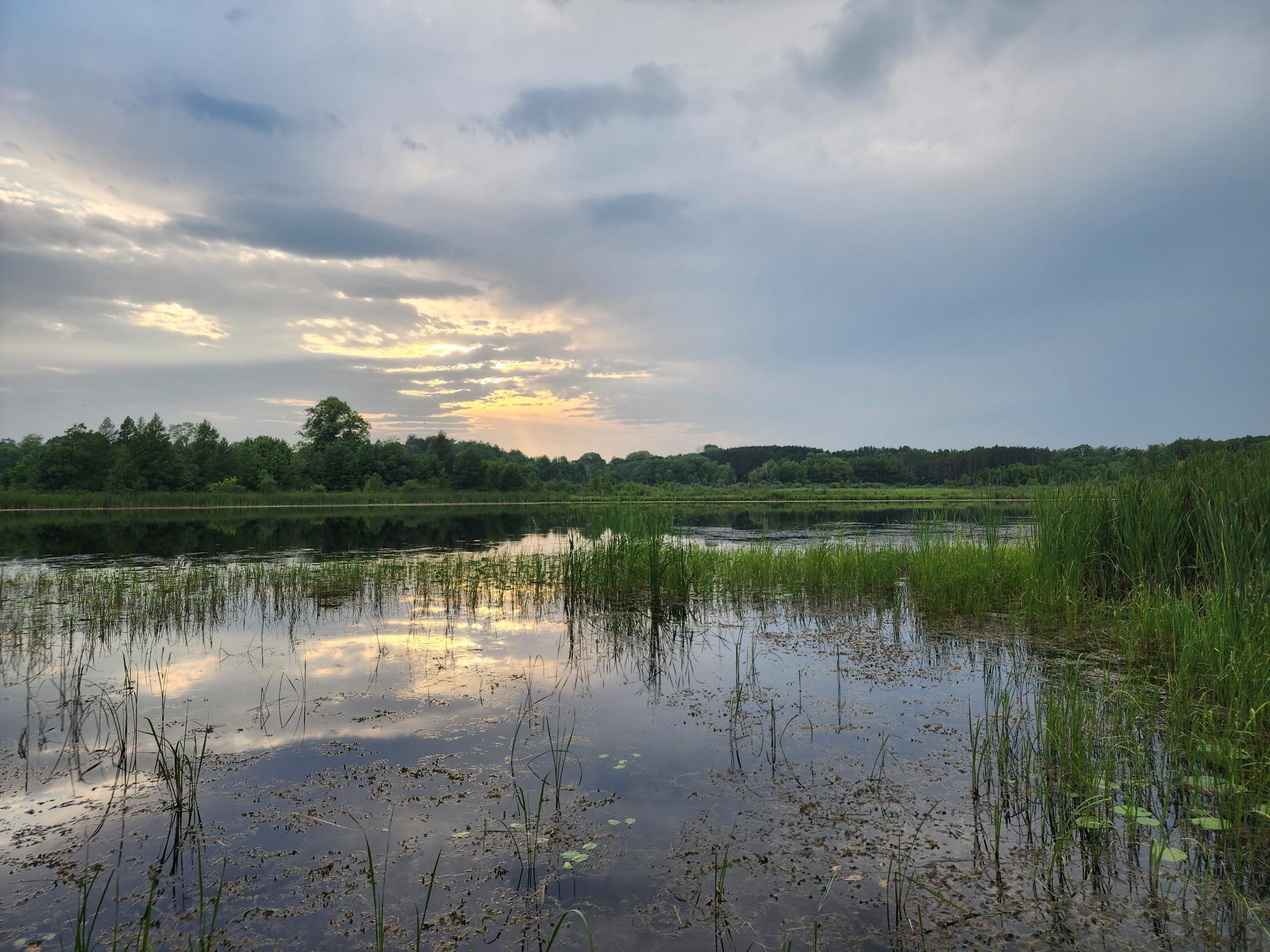View of Residential at 36822 Pine Knoll Road, Grandy MN 55029, Grandy - Mike Wilen | Minnesota Team Real Estate