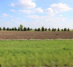View of Land at 35768 Sharon Prairie Drive, Le Sueur MN 56058, Le Sueur - Mike Wilen | Minnesota Team Real Estate