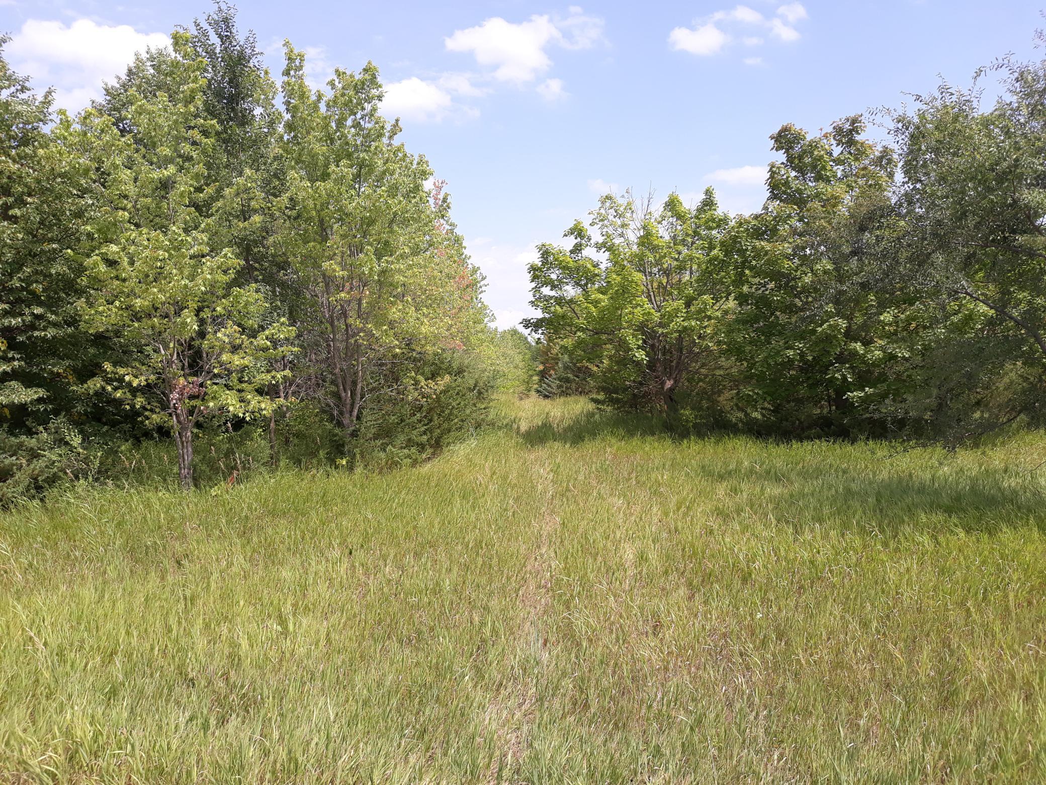 View of Land at 155xxxx Halsey Avenue, Carver MN 55315, Carver - Mike Wilen | Minnesota Team Real Estate