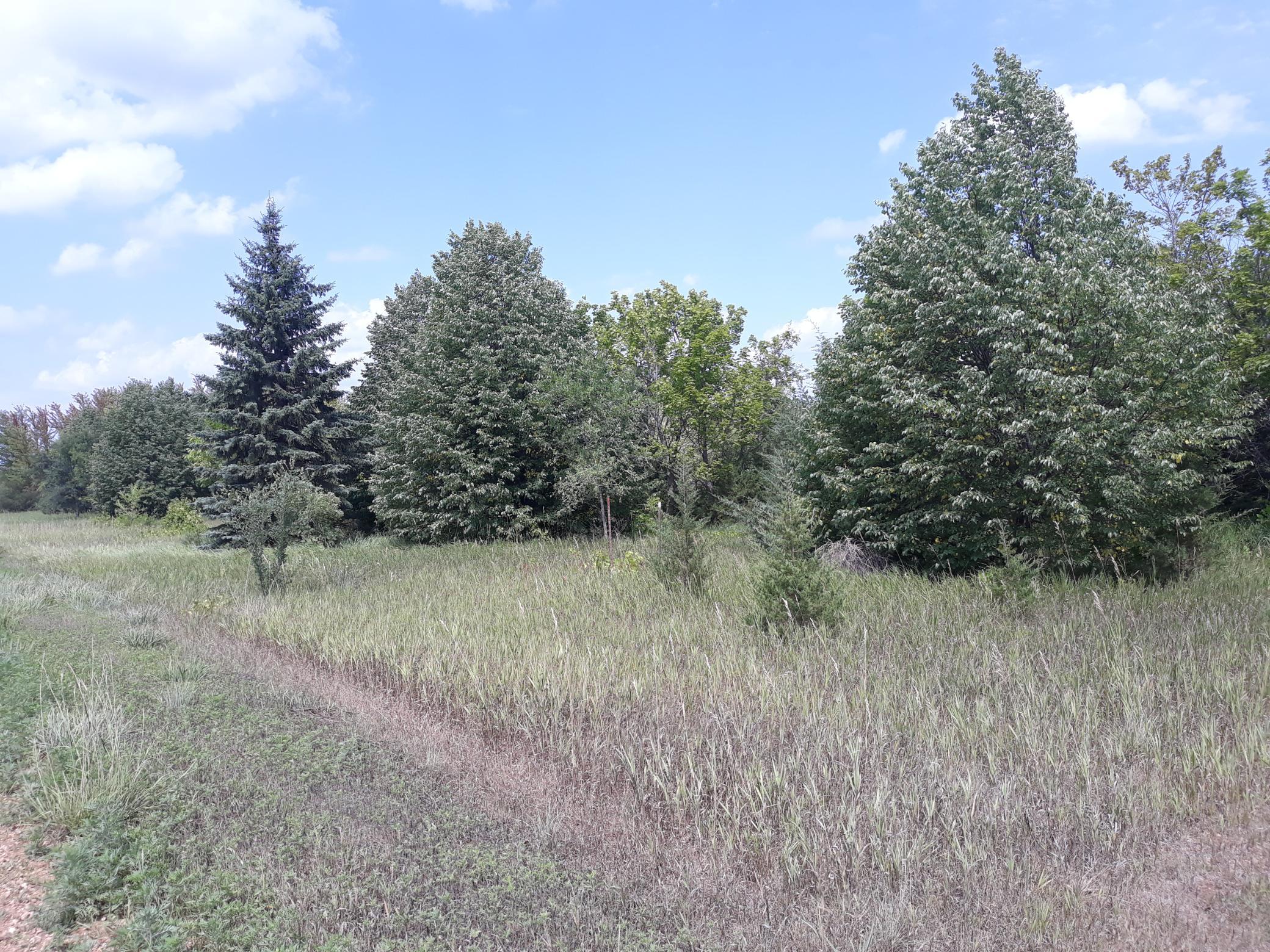 View of Land at 155x Halsey Avenue, Carver MN 55315, Carver - Mike Wilen | Minnesota Team Real Estate