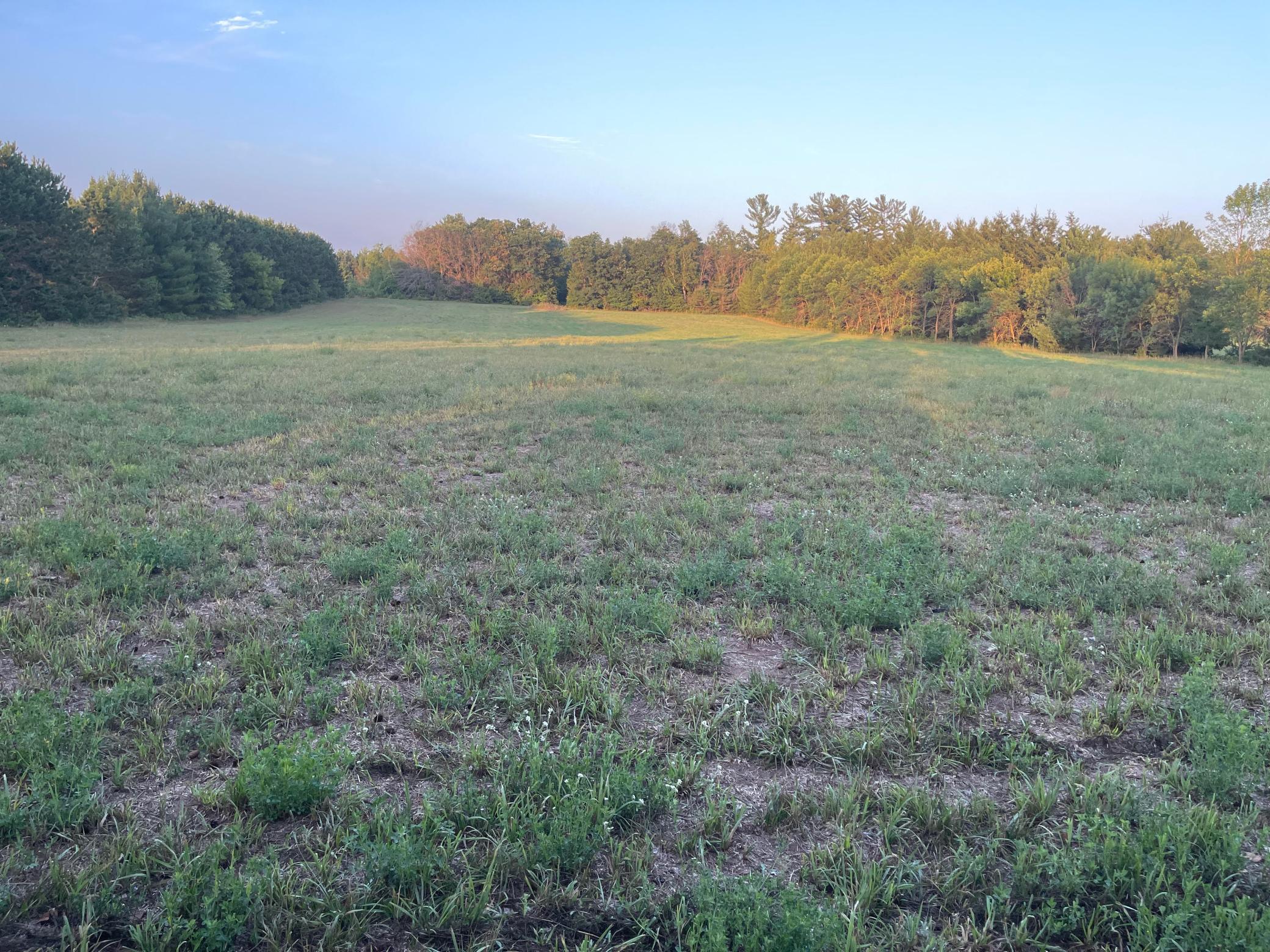 View of Land at 44xxx Jess Avenue, Harris MN 55032, Harris - Mike Wilen | Minnesota Team Real Estate