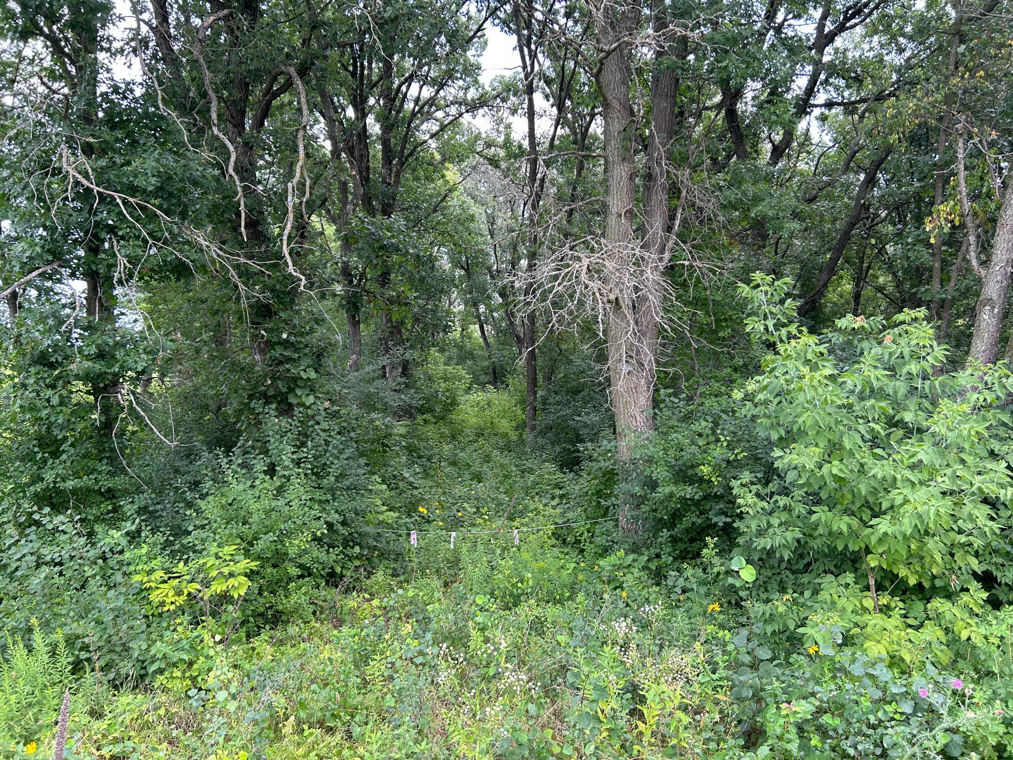 View of Land at xxx 173rd Avenue, Becker MN 55308, Becker - Mike Wilen | Minnesota Team Real Estate