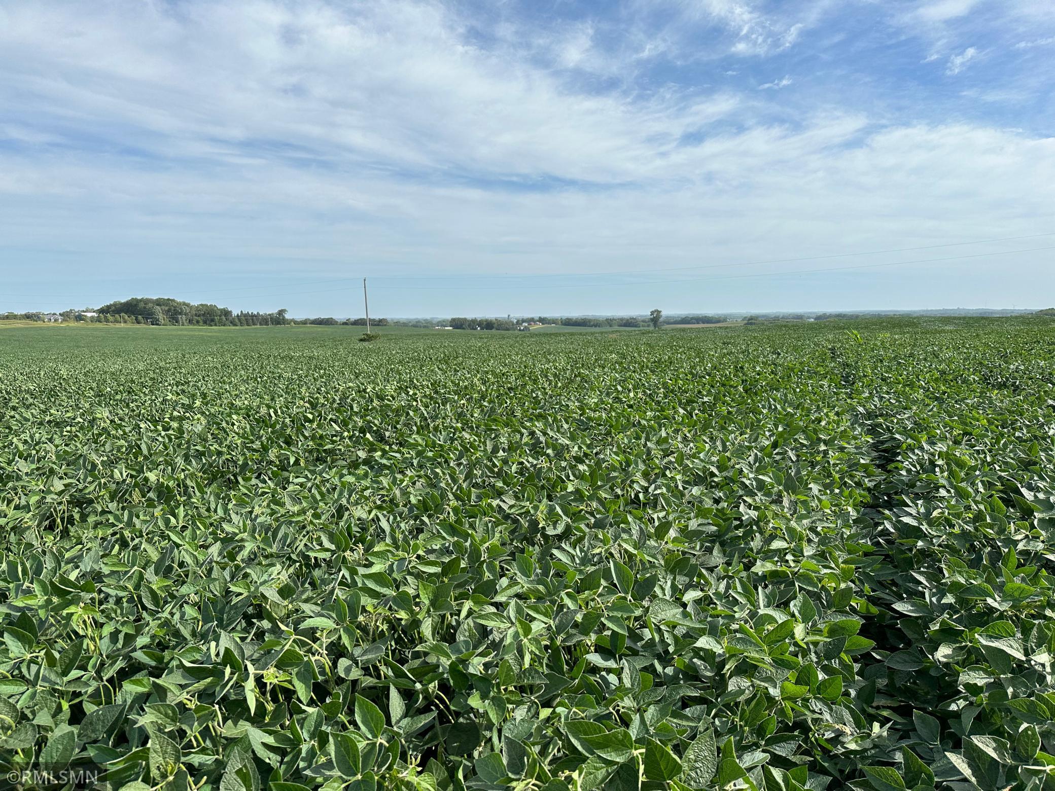 View of Land at xxxx 265Th, Farmington MN 55024, Farmington - Mike Wilen | Minnesota Team Real Estate
