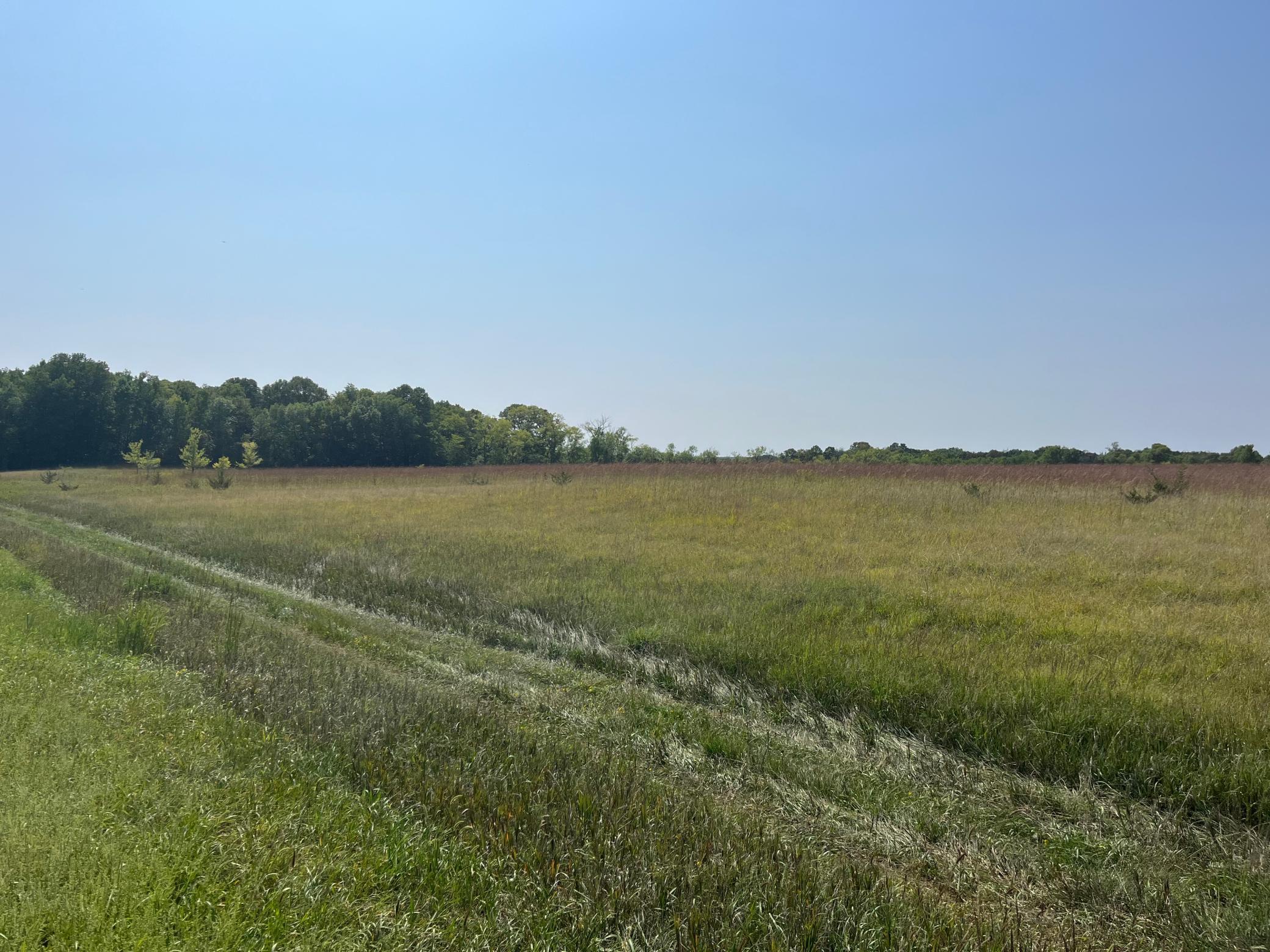 View of Land at XXXX 60th Street, Annandale MN 55302, Annandale - Mike Wilen | Minnesota Team Real Estate