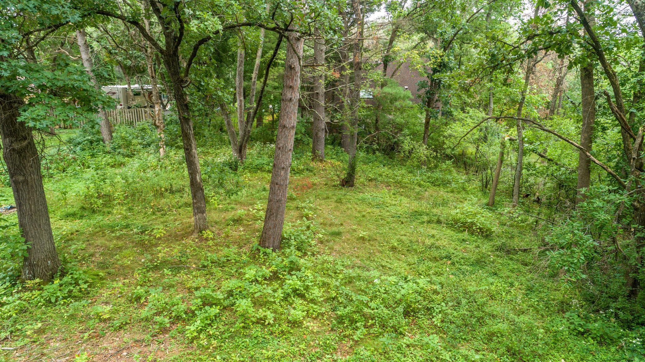 View of Land at 16321 24th Street, Lakeland MN 55043, Lakeland - Mike Wilen | Minnesota Team Real Estate