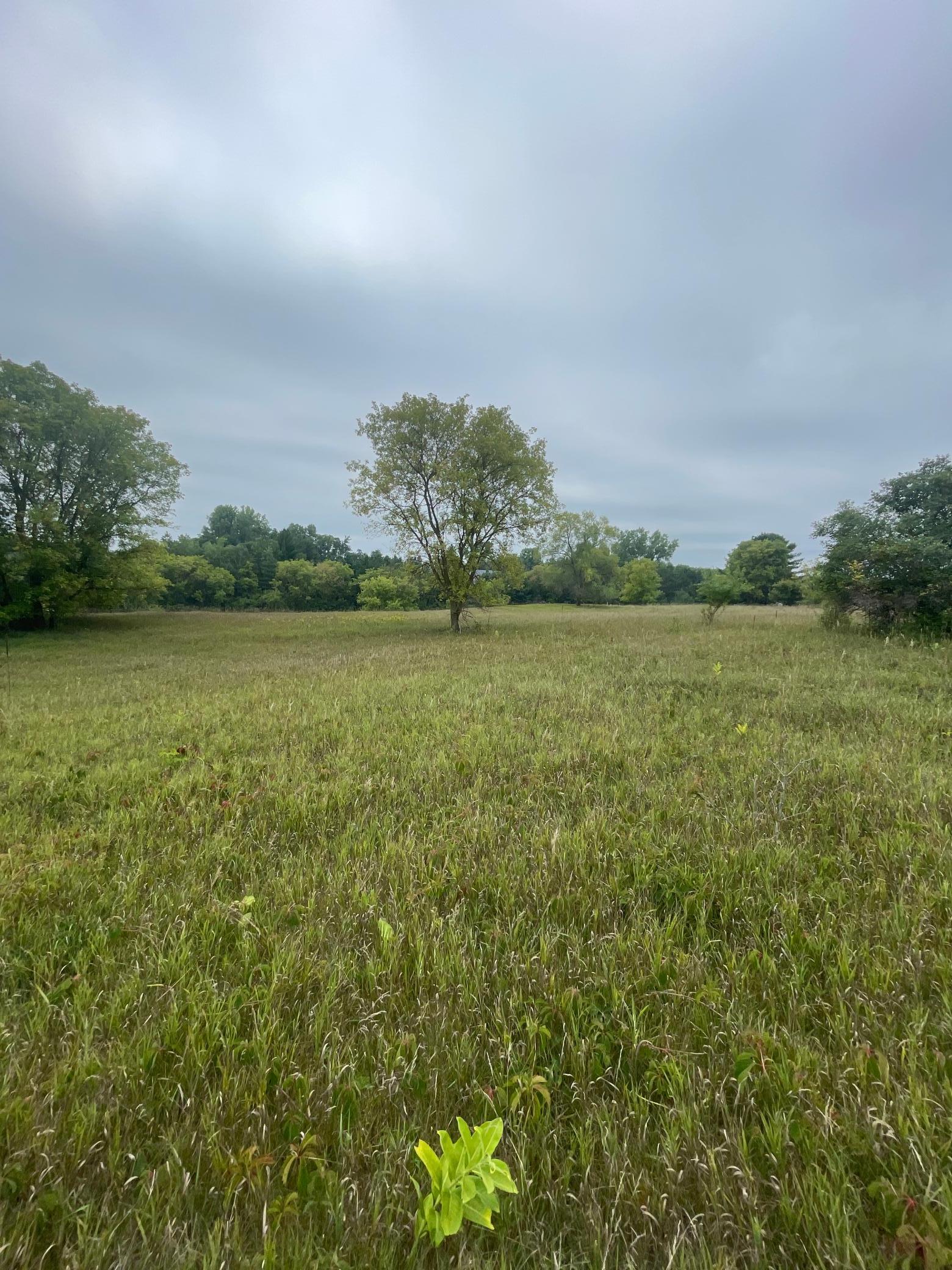 View of Land at XXX 105th, Grant MN 55115, Grant - Mike Wilen | Minnesota Team Real Estate