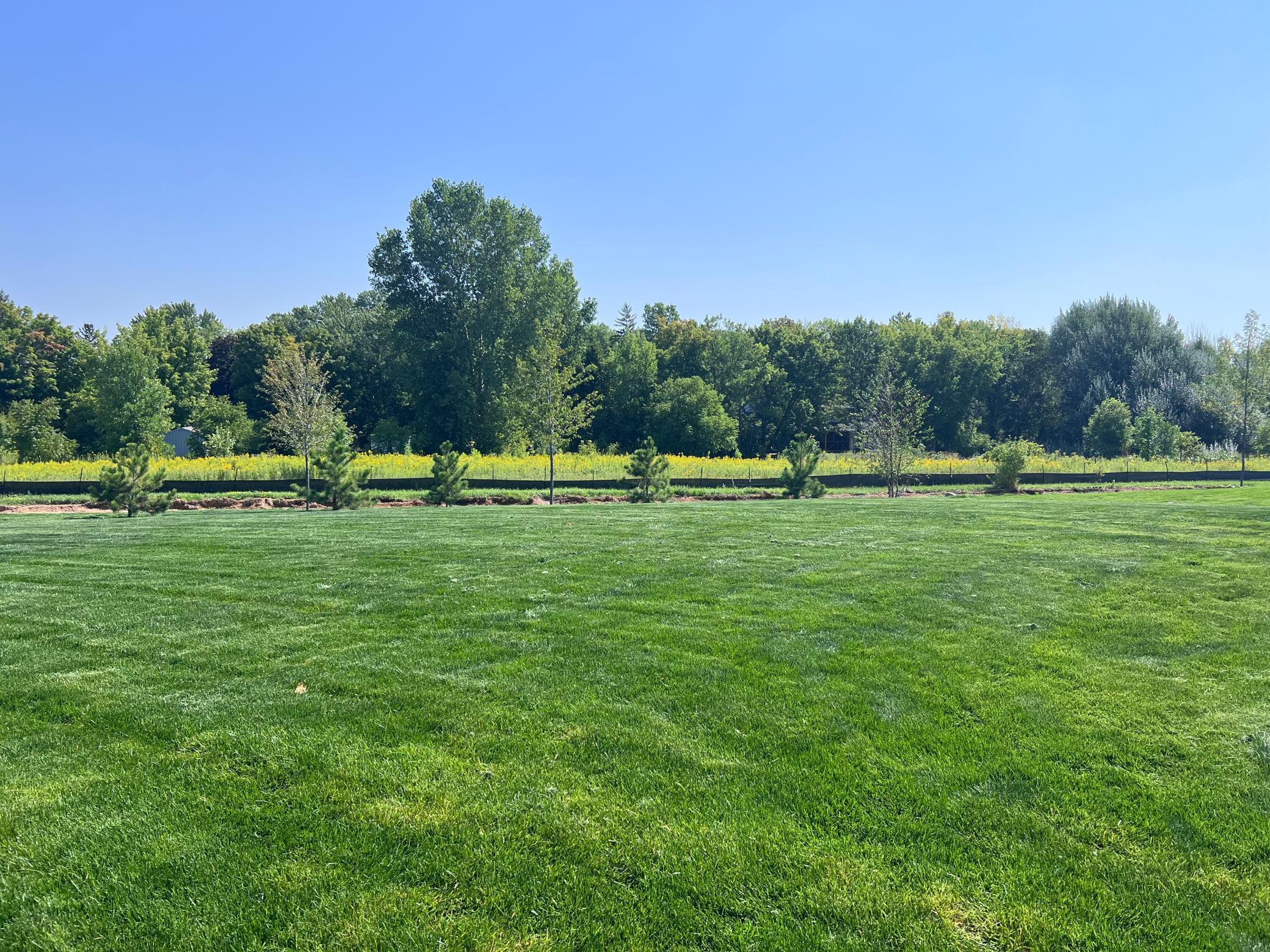 View of Residential at 4816 Obsidian Way, Victoria MN 55386, Victoria - Mike Wilen | Minnesota Team Real Estate