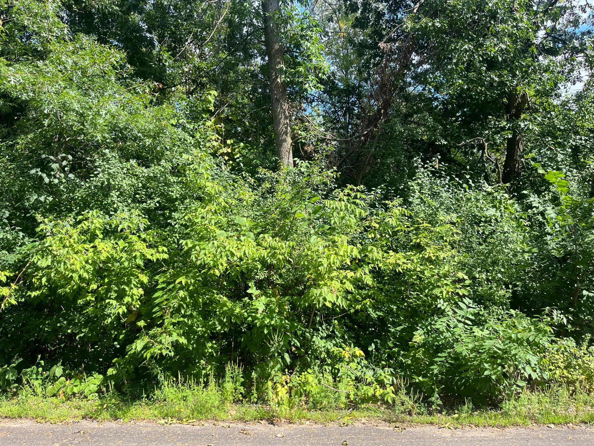 View of Land at 23xxx 182nd Street, Big Lake MN 55309, Big Lake (2 of 8) - Mike Wilen | Minnesota Team Real Estate