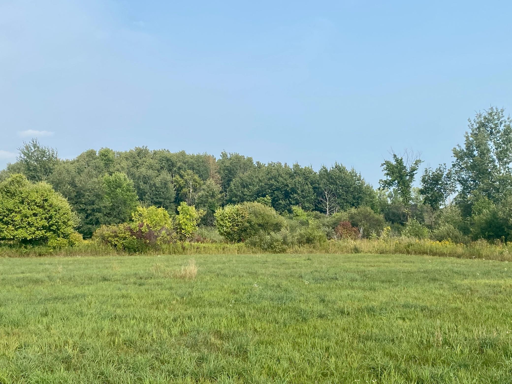 View of Land at xxxxx 80th Avenue, Milaca MN 56353, Milaca - Mike Wilen | Minnesota Team Real Estate