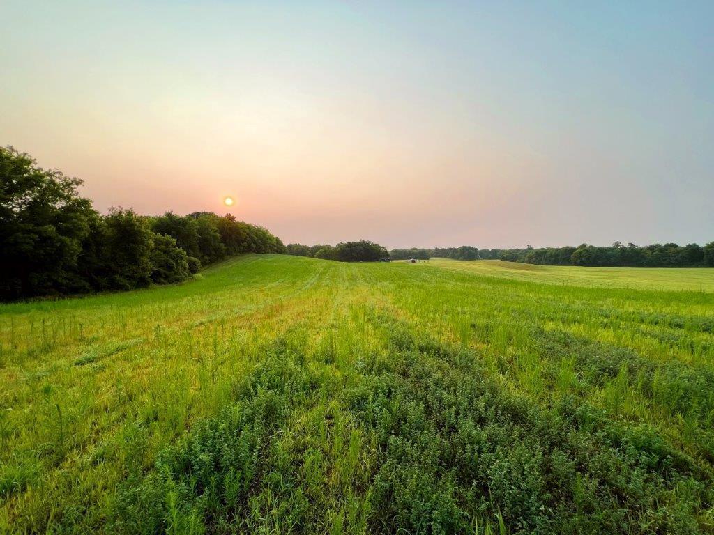 View of Land at XXX Baker Avenue, Buffalo MN 55313, Buffalo - Mike Wilen | Minnesota Team Real Estate