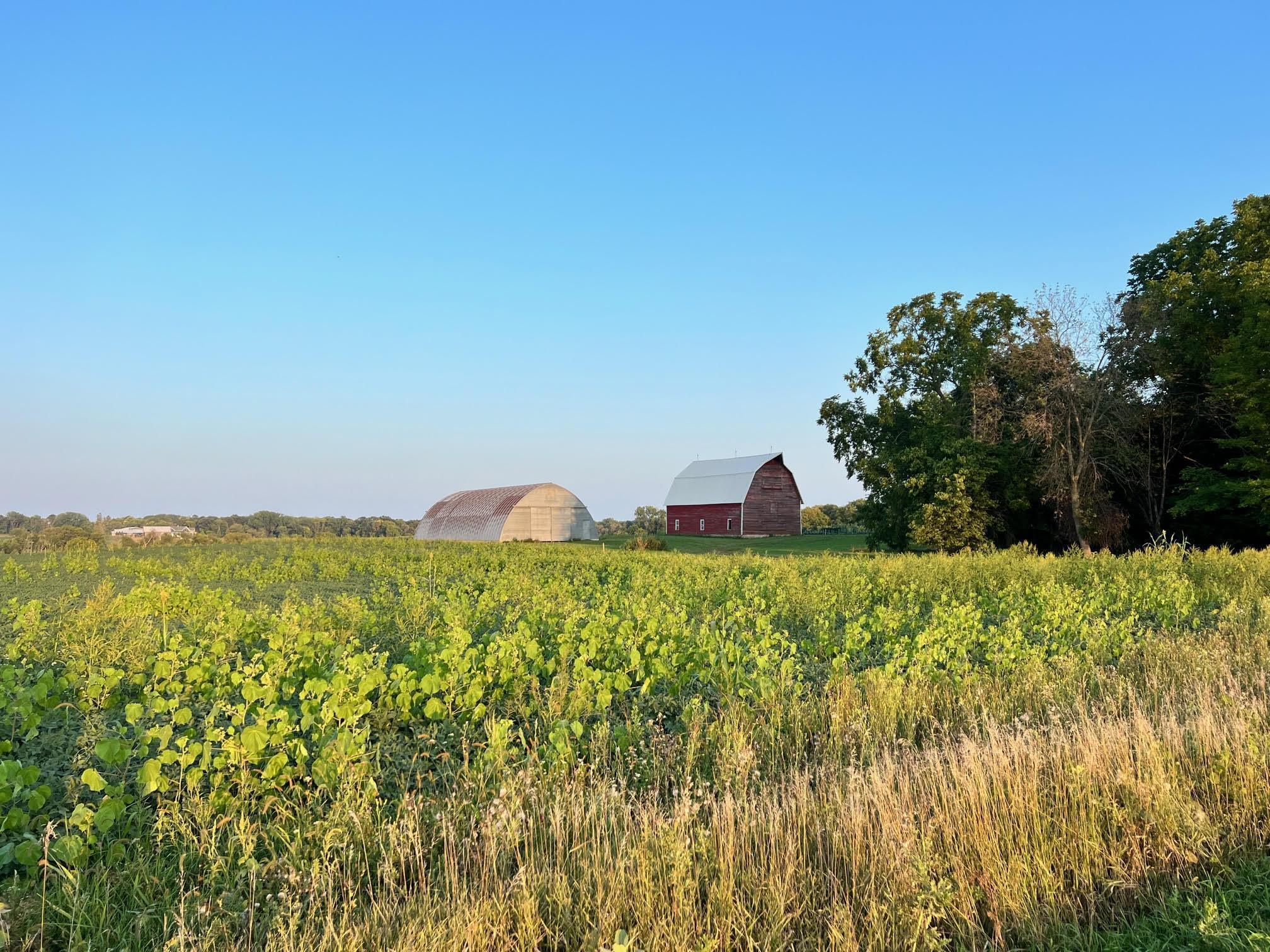 View of Land at 498 Kuntz Drive, Independence MN 55359, Independence - Mike Wilen | Minnesota Team Real Estate
