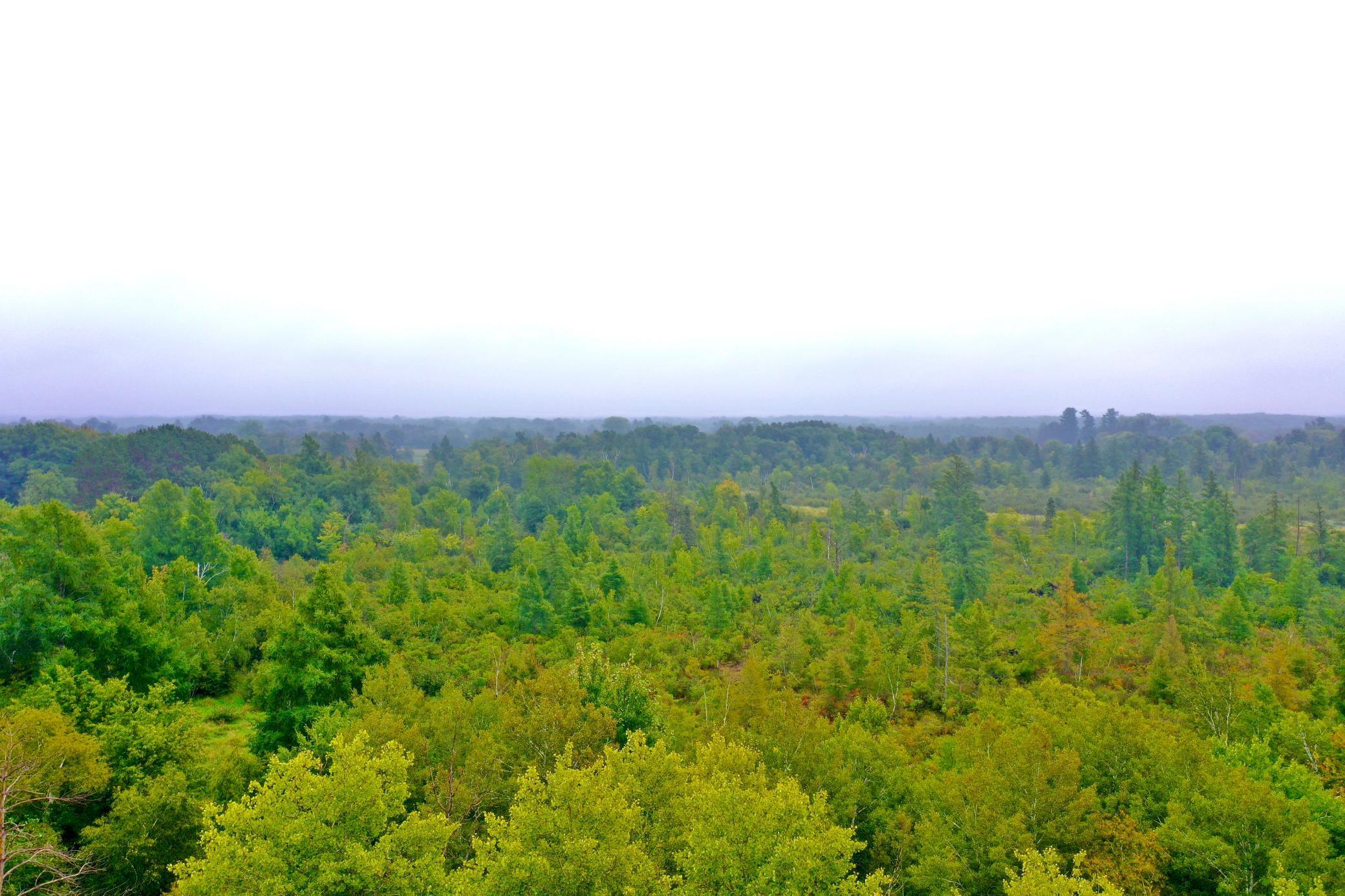 View of Land at NA Durant Street NE, Isanti MN 55040, Isanti - Mike Wilen | Minnesota Team Real Estate