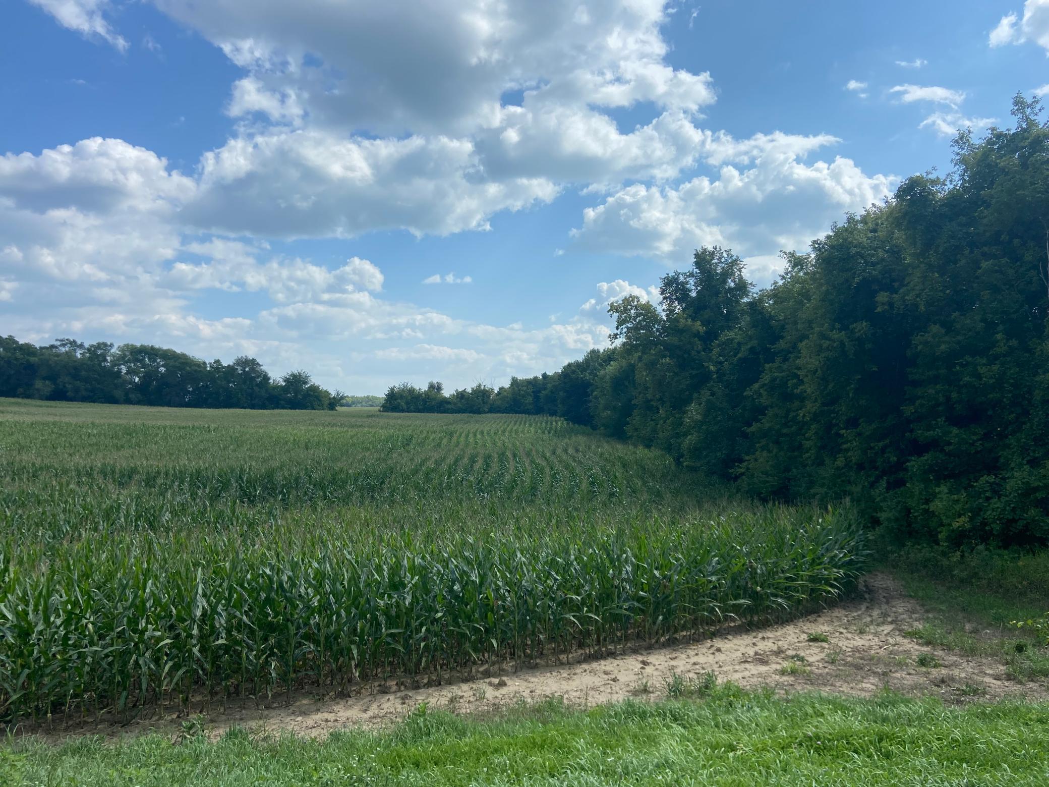 View of Land at xxx 112th Street, Maple Lake MN 55358, Maple Lake - Mike Wilen | Minnesota Team Real Estate