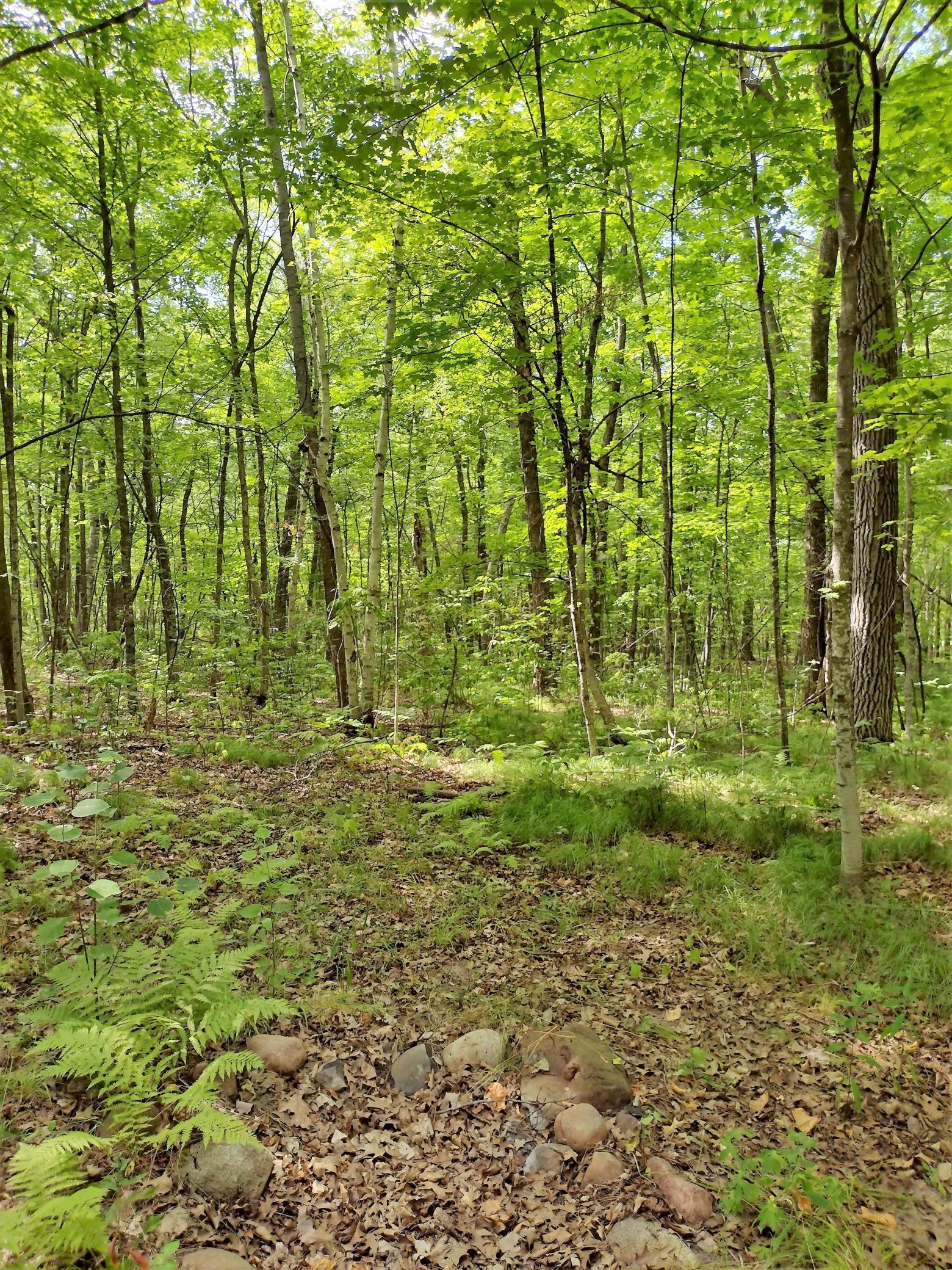 View of Land at XXXXX Dunn Avenue, Onamia MN 56359, Onamia - Mike Wilen | Minnesota Team Real Estate