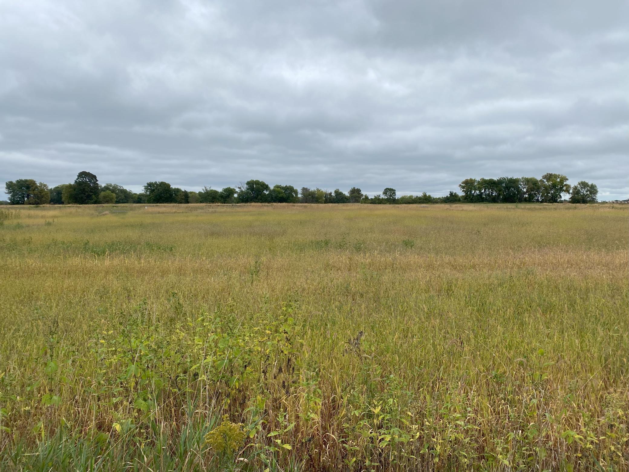 View of Land at 8925 Grace Lane, Loretto MN 55357, Loretto - Mike Wilen | Minnesota Team Real Estate