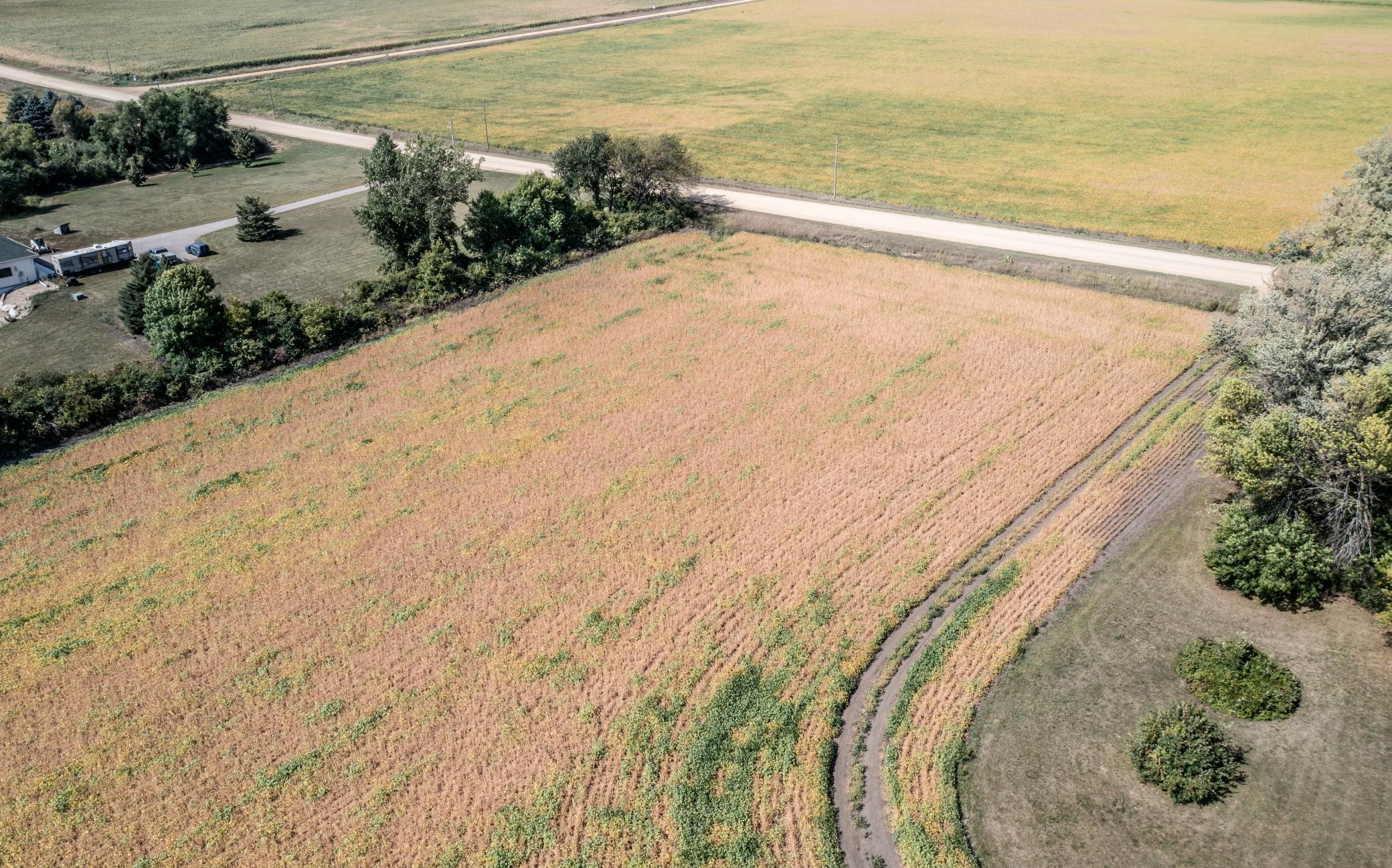View of Land at XXXX 255th Street, Farmington MN 55024, Farmington - Mike Wilen | Minnesota Team Real Estate