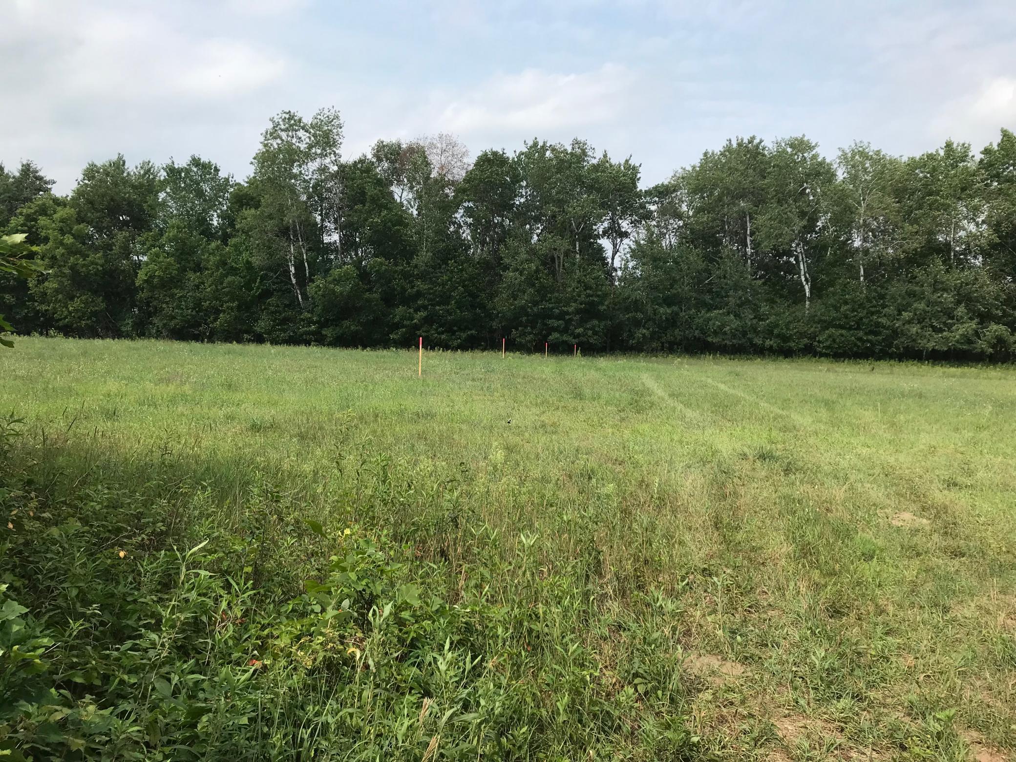 View of Land at 33015 Fenway Avenue, Stacy MN 55079, Stacy - Mike Wilen | Minnesota Team Real Estate