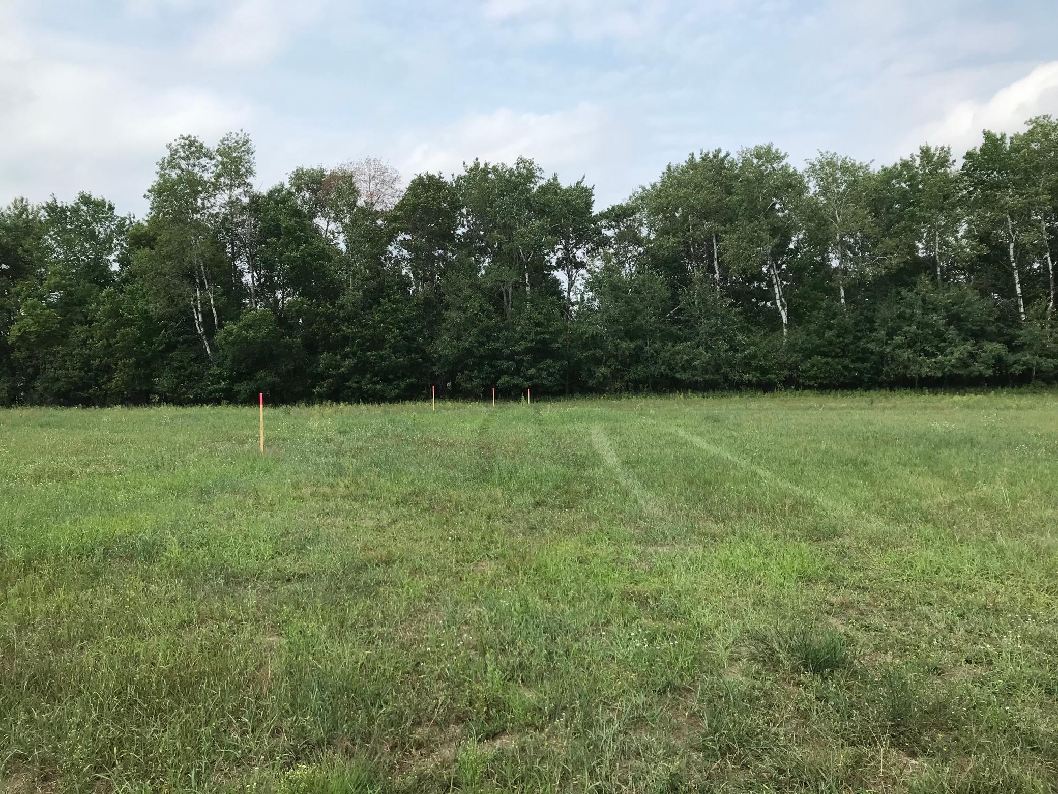 View of Land at 33021 Fenway Avenue, Stacy MN 55079, Stacy - Mike Wilen | Minnesota Team Real Estate
