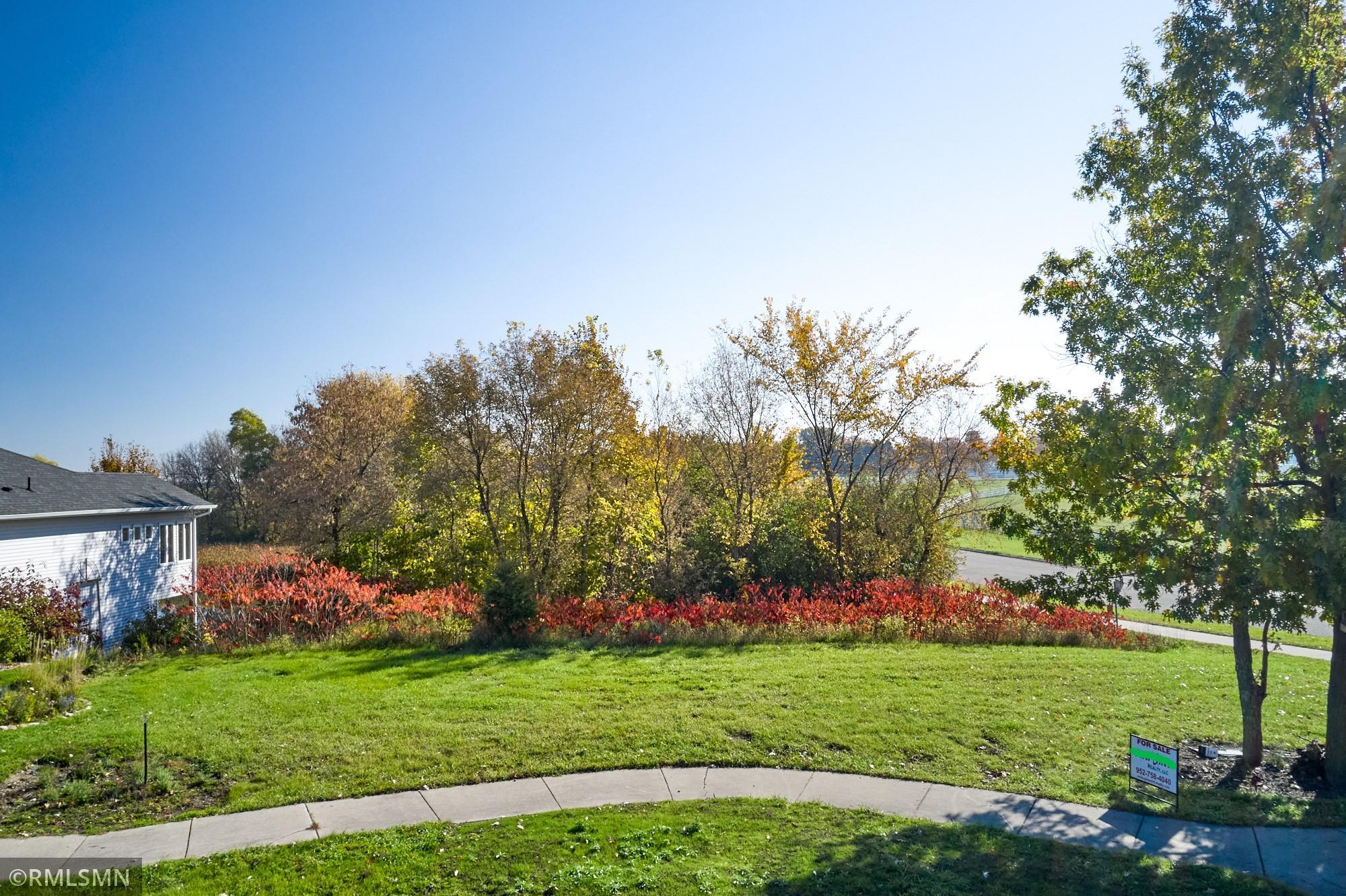 View of Land at 1039 Homestead Drive, Jordan MN 55352, Jordan - Mike Wilen | Minnesota Team Real Estate