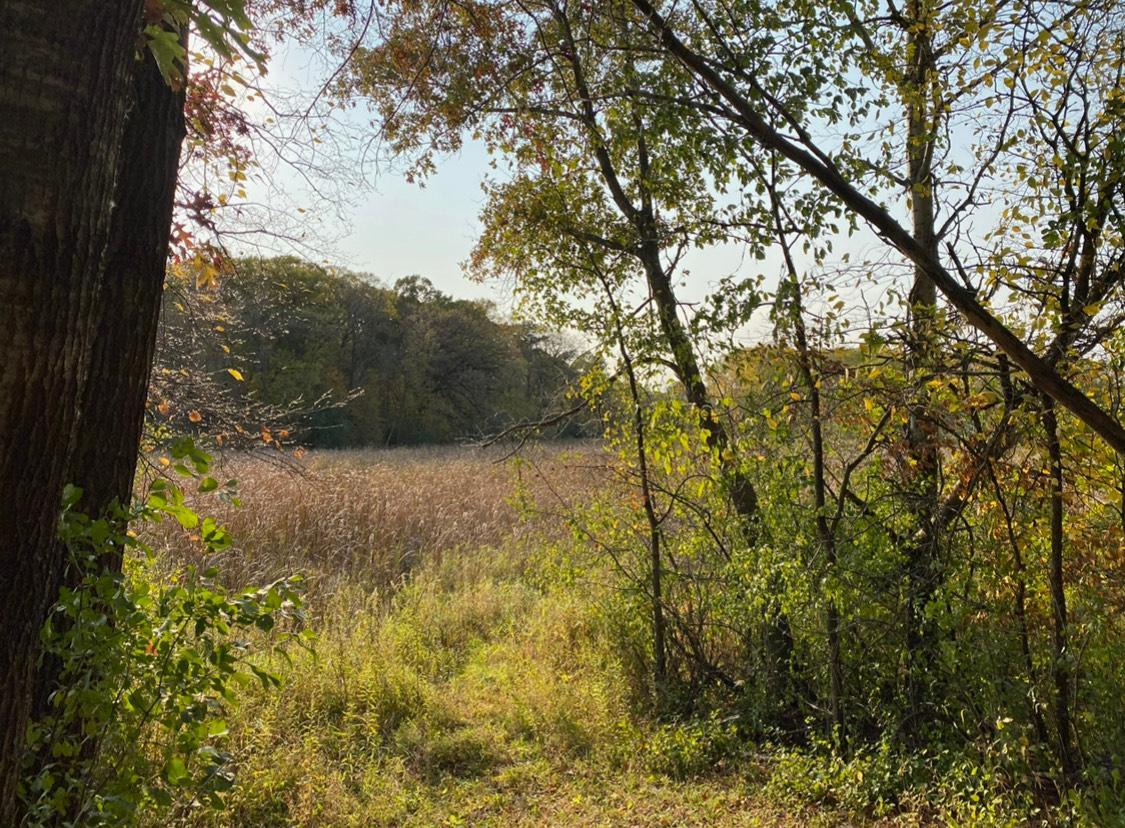 View of Land at 18629 Revere Avenue, Prior Lake MN 55372, Prior Lake - Mike Wilen | Minnesota Team Real Estate