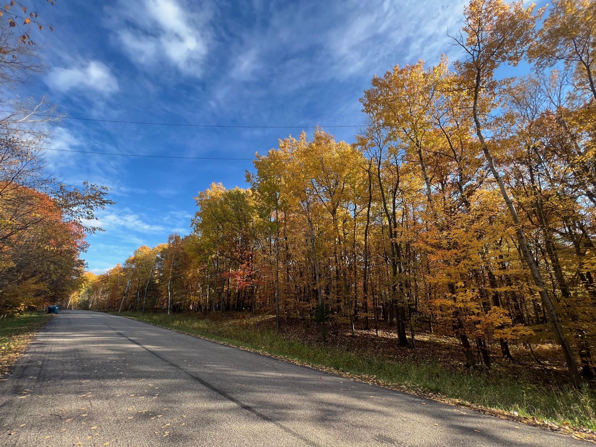 View of Land at TBD Julep Trail, Scandia MN 55073, Scandia - Mike Wilen | Minnesota Team Real Estate