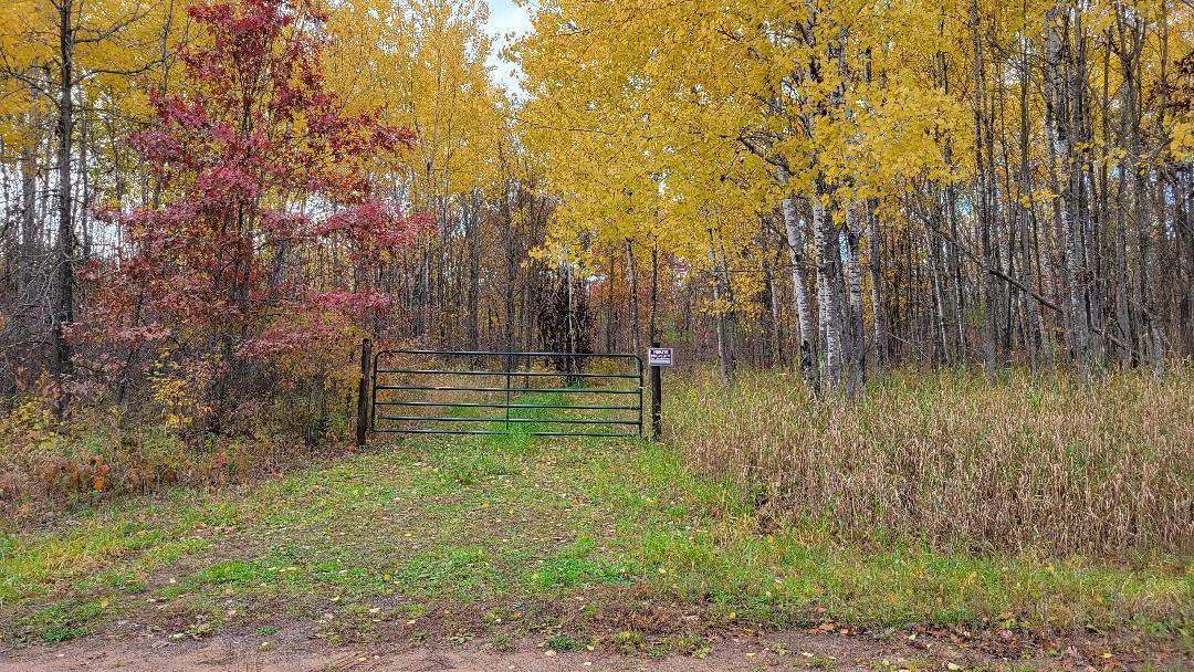 View of Land at XXXX 540th Street, Rush City MN 55069, Rush City - Mike Wilen | Minnesota Team Real Estate