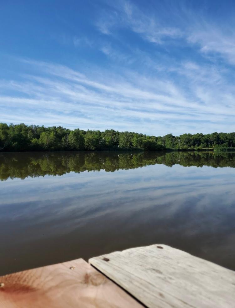 View of Residential at 29360 Francis Lake Drive, Isanti MN 55040, Isanti - Mike Wilen | Minnesota Team Real Estate
